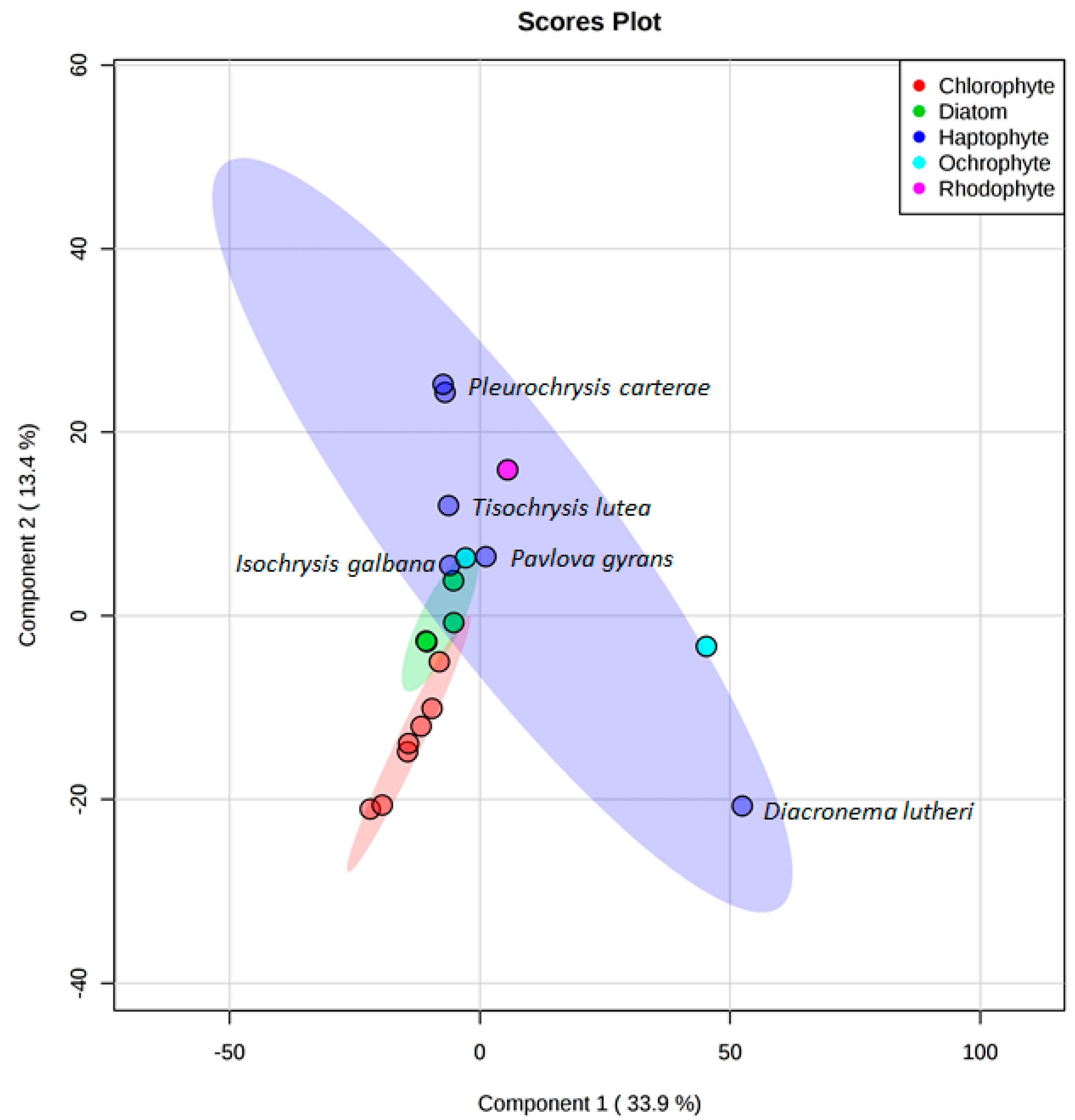 Microorganisms 09 00311 g005 Microorganisms 09 00311 g005