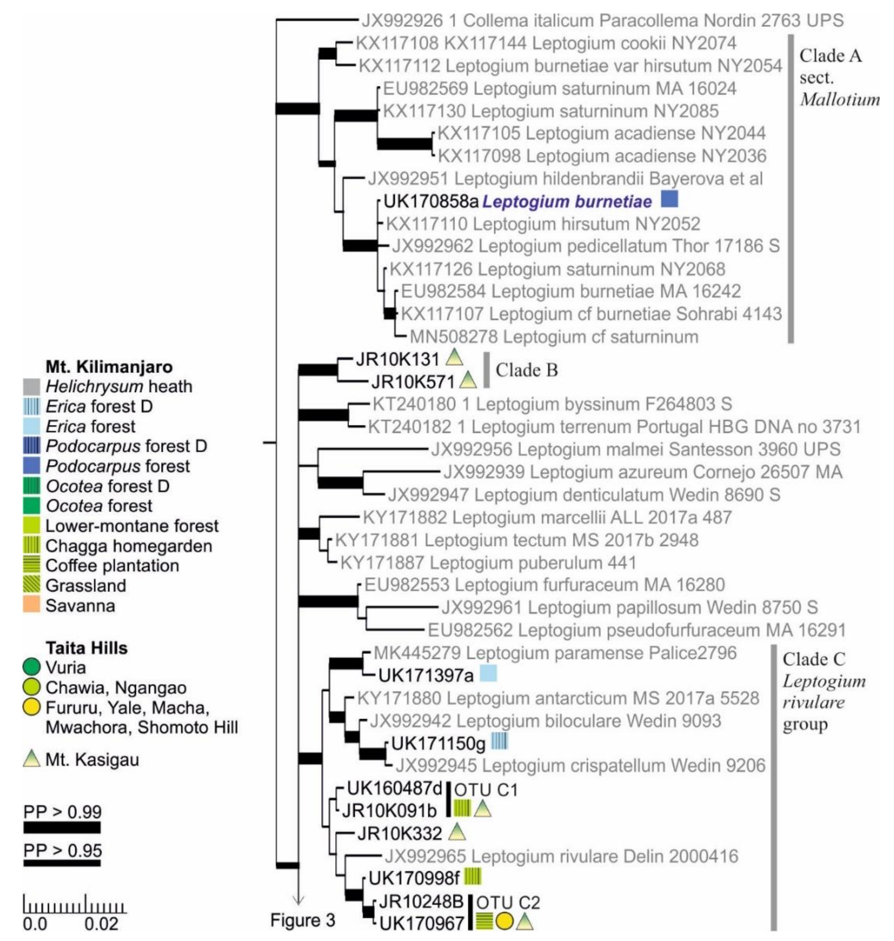 Microorganisms 09 00314 g002 Microorganisms 09 00314 g002