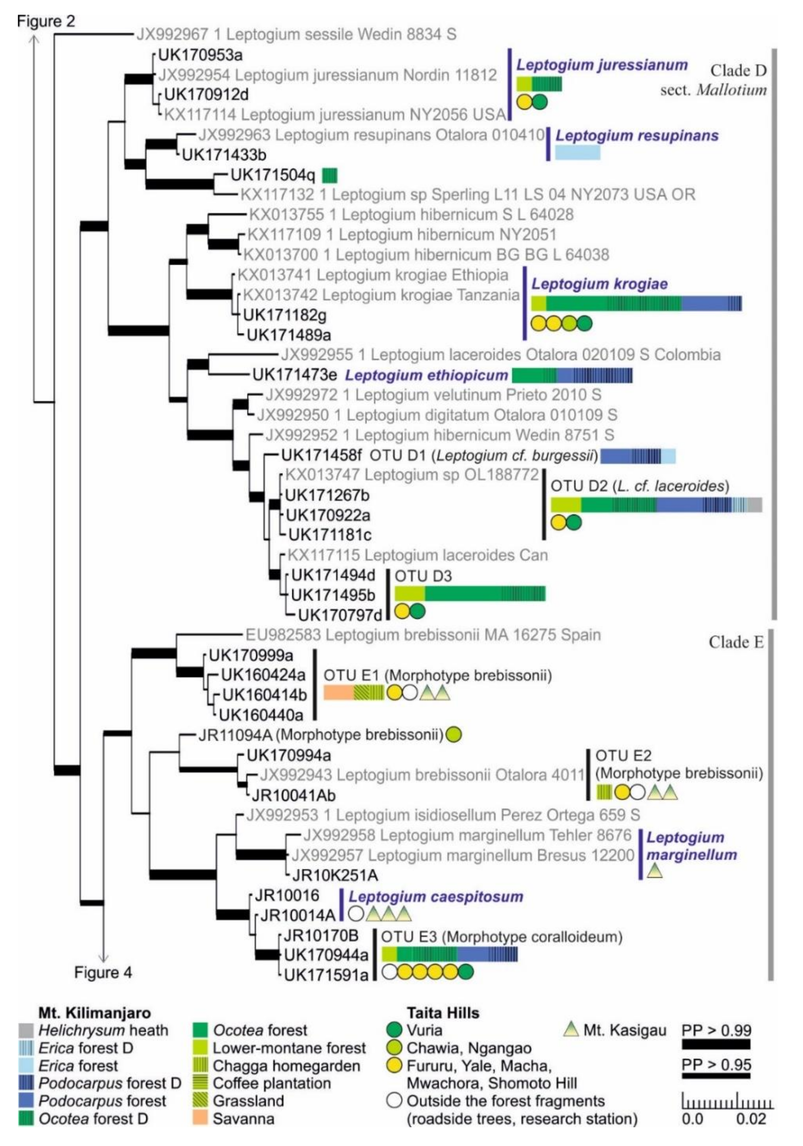 Microorganisms 09 00314 g003 Microorganisms 09 00314 g003