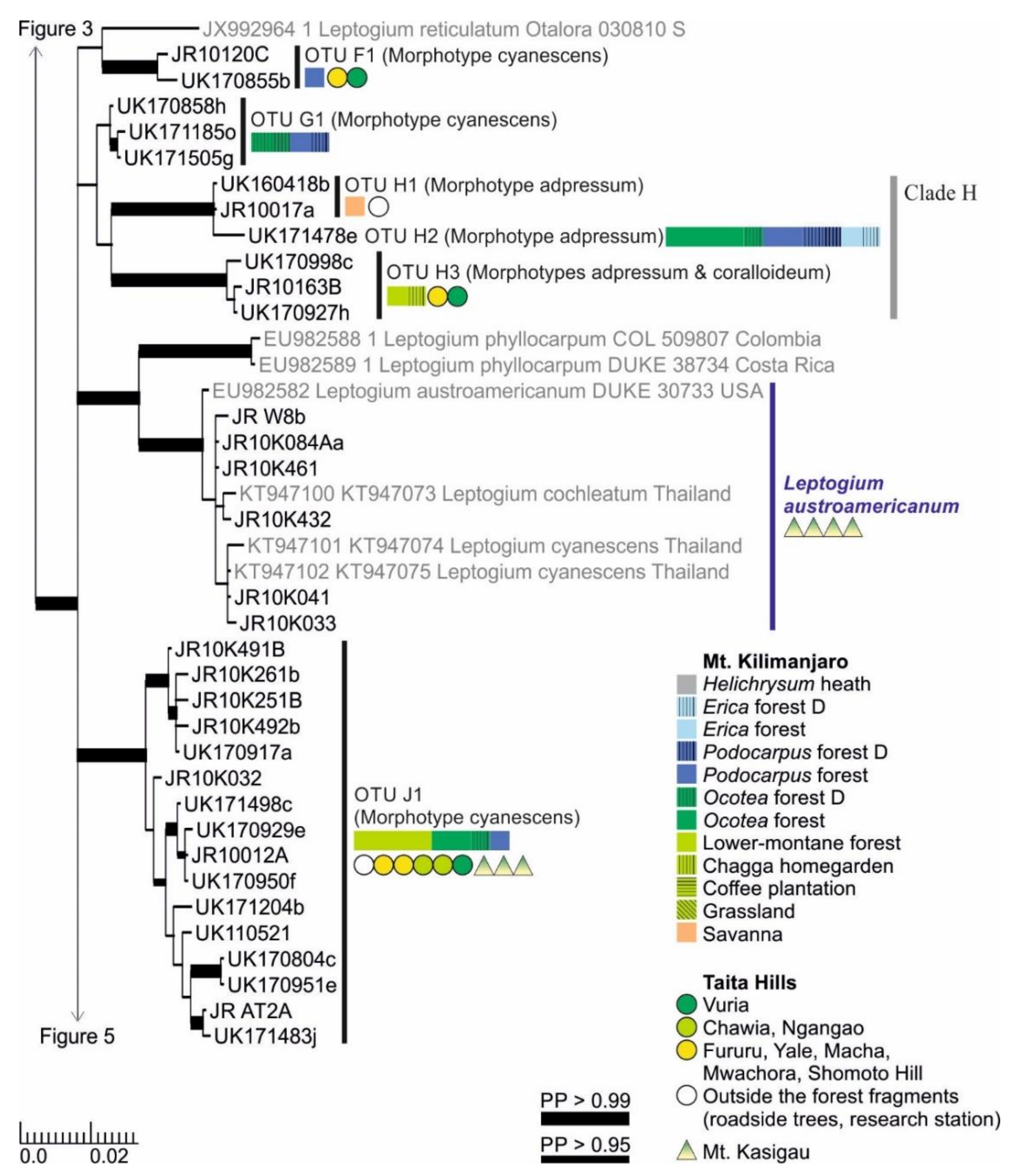 Microorganisms 09 00314 g004 Microorganisms 09 00314 g004