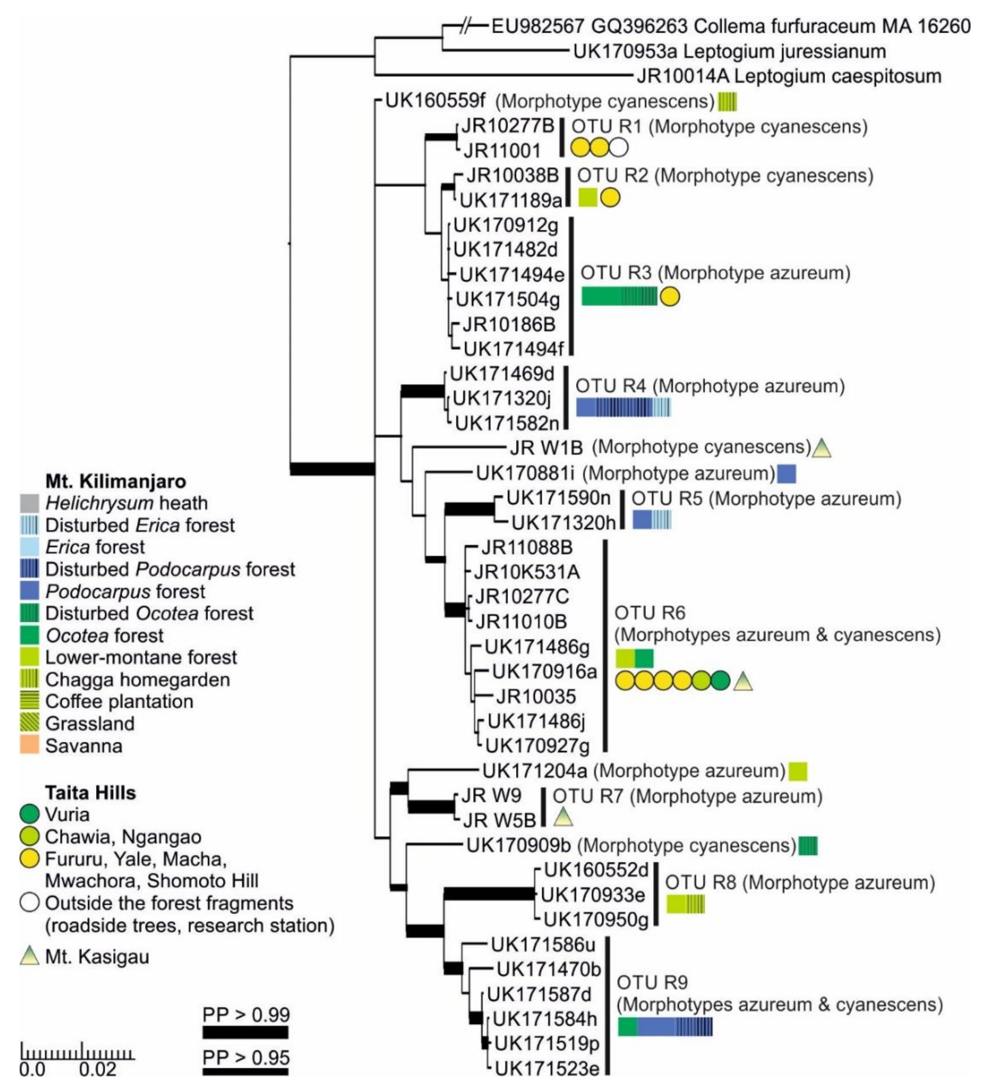 Microorganisms 09 00314 g007 Microorganisms 09 00314 g007