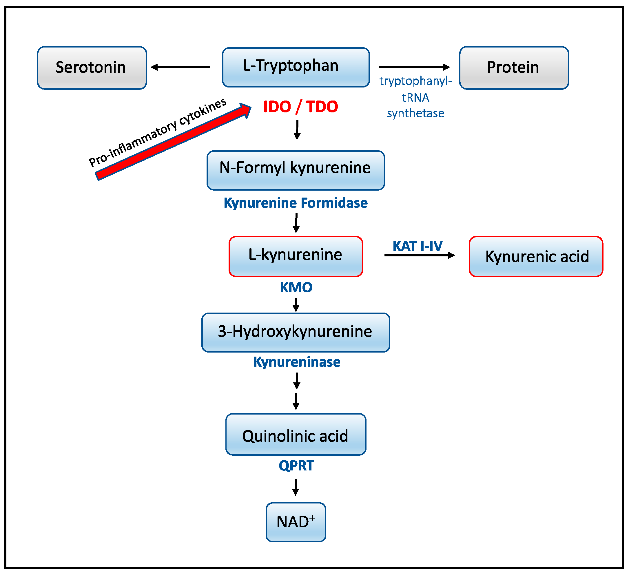 Microorganisms 09 00322 g001
