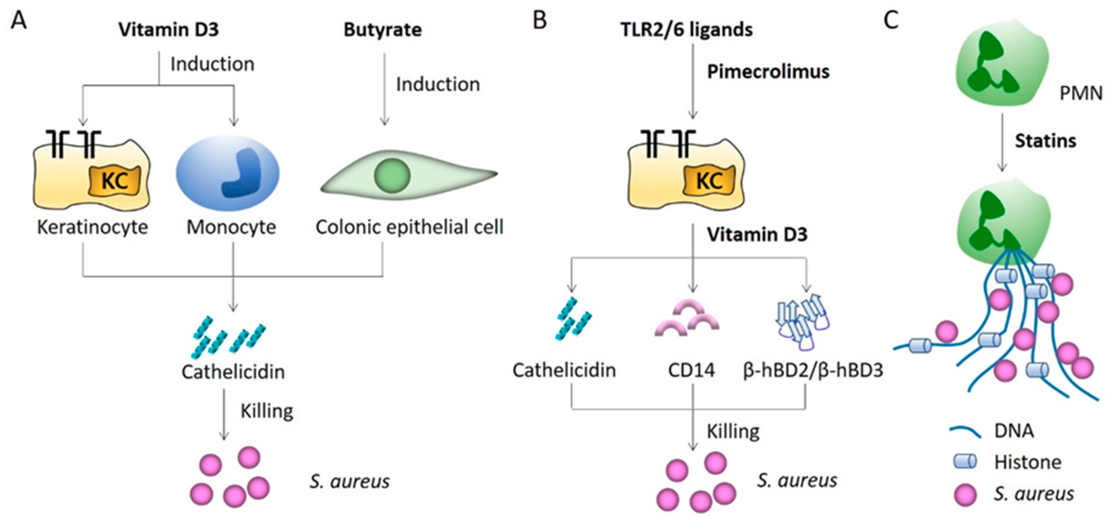Microorganisms 09 00328 g002 Microorganisms 09 00328 g002