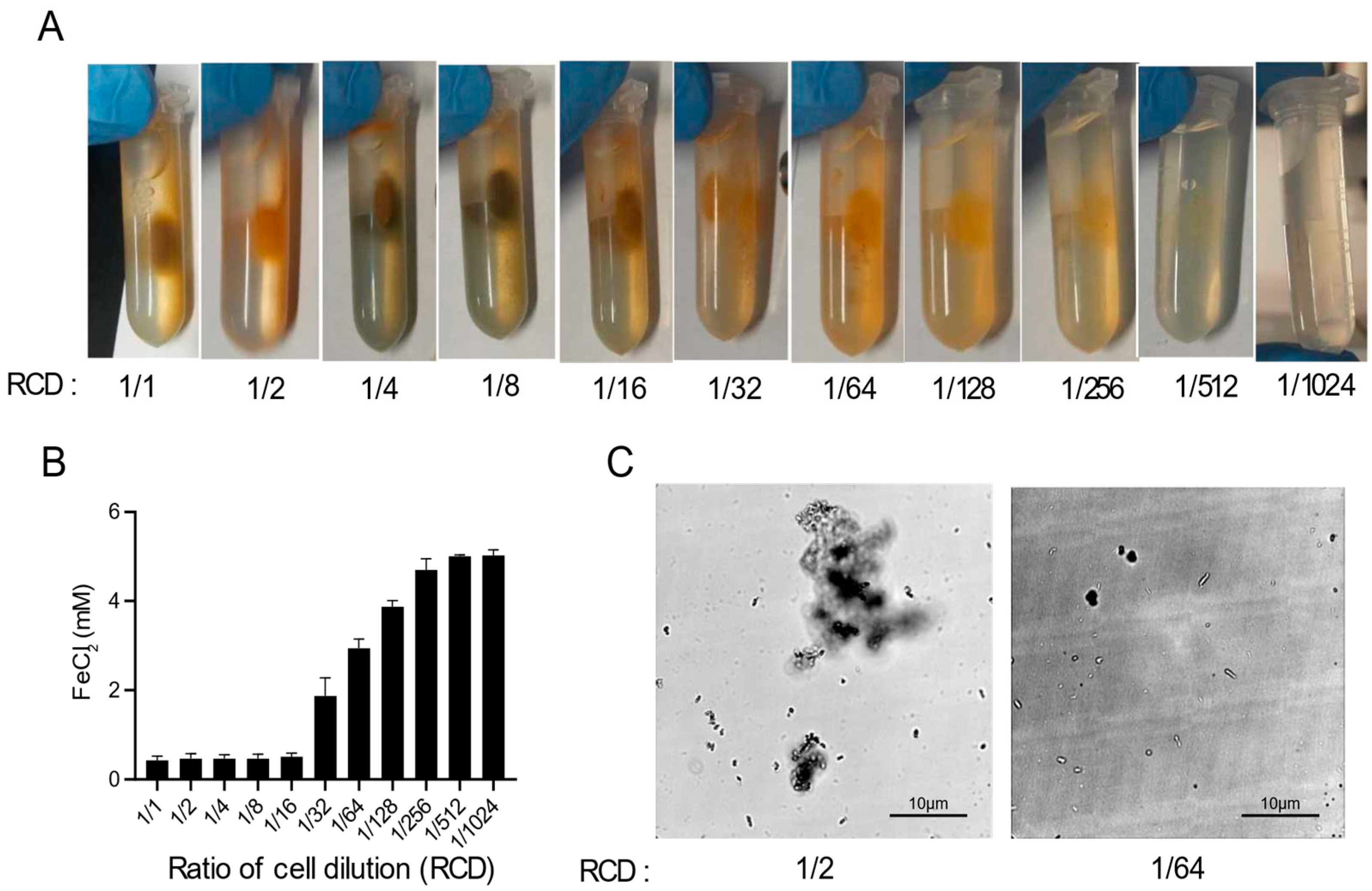 Microorganisms 09 00331 g002 Microorganisms 09 00331 g002