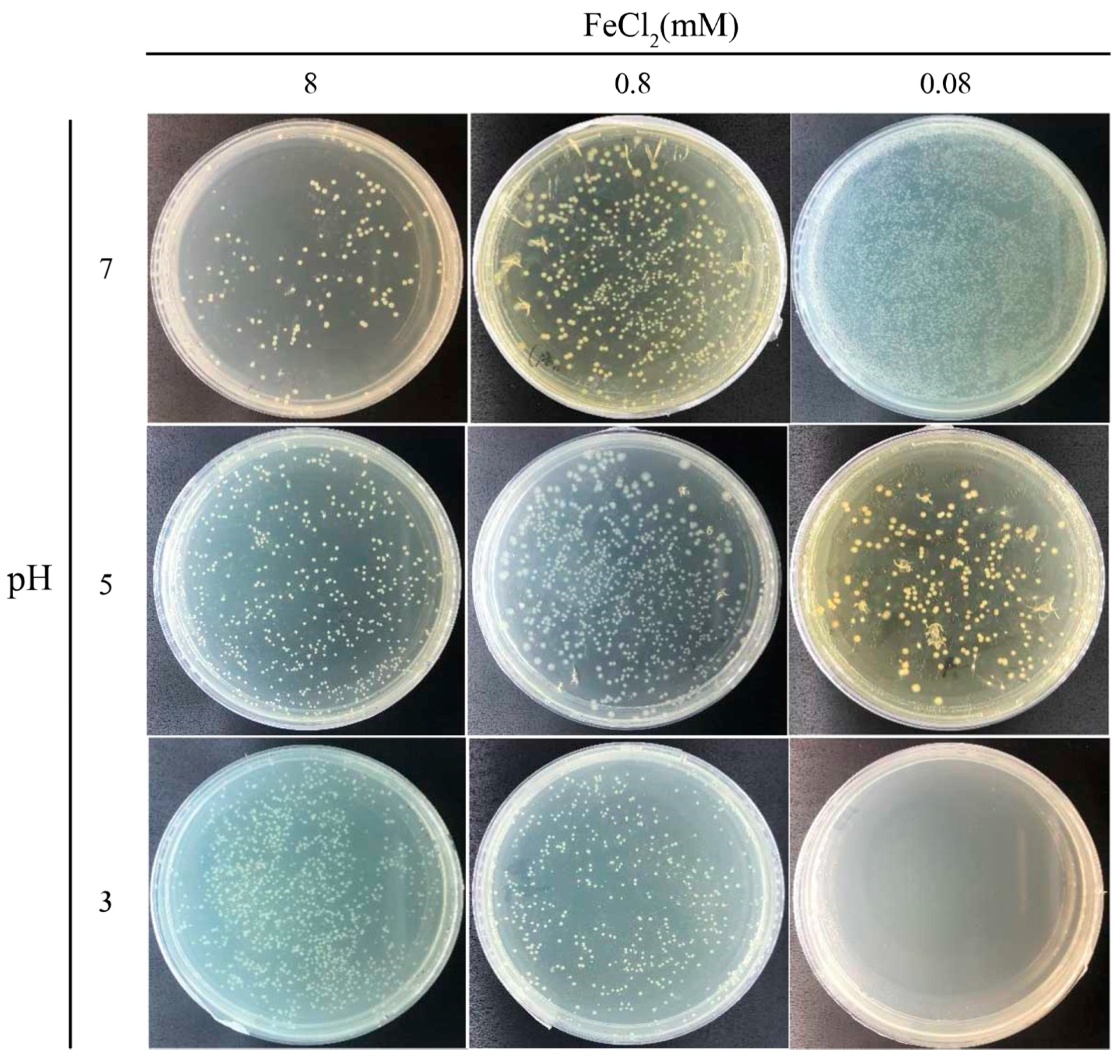 Microorganisms 09 00331 g005 Microorganisms 09 00331 g005