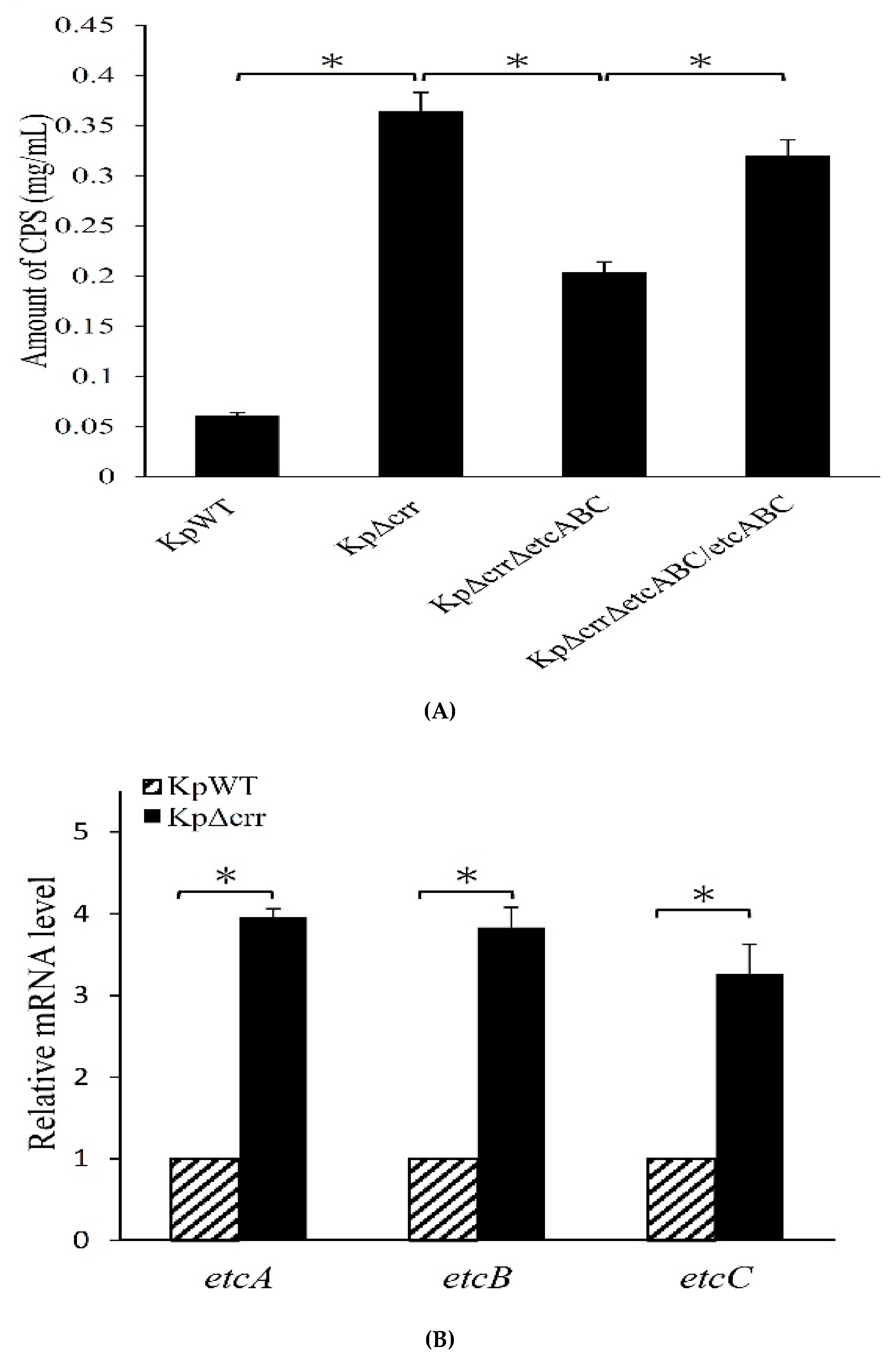 Microorganisms 09 00335 g005a Microorganisms 09 00335 g005a