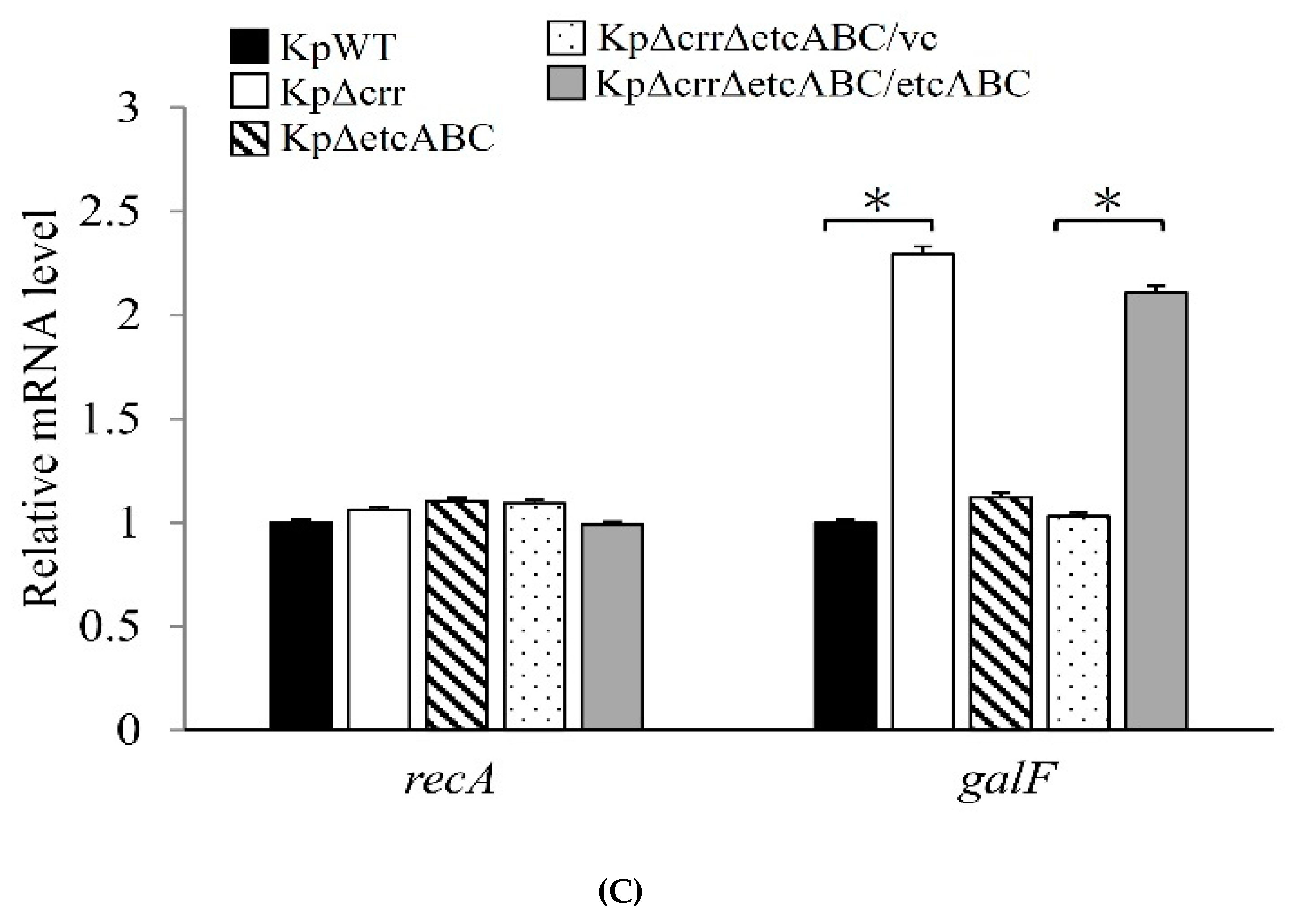 Microorganisms 09 00335 g005b Microorganisms 09 00335 g005b