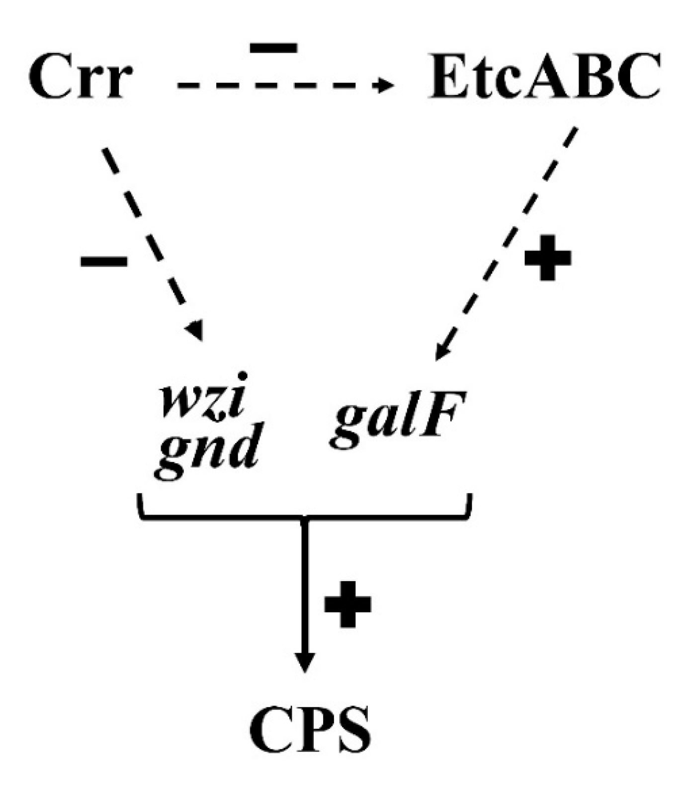 Microorganisms 09 00335 g006 Microorganisms 09 00335 g006