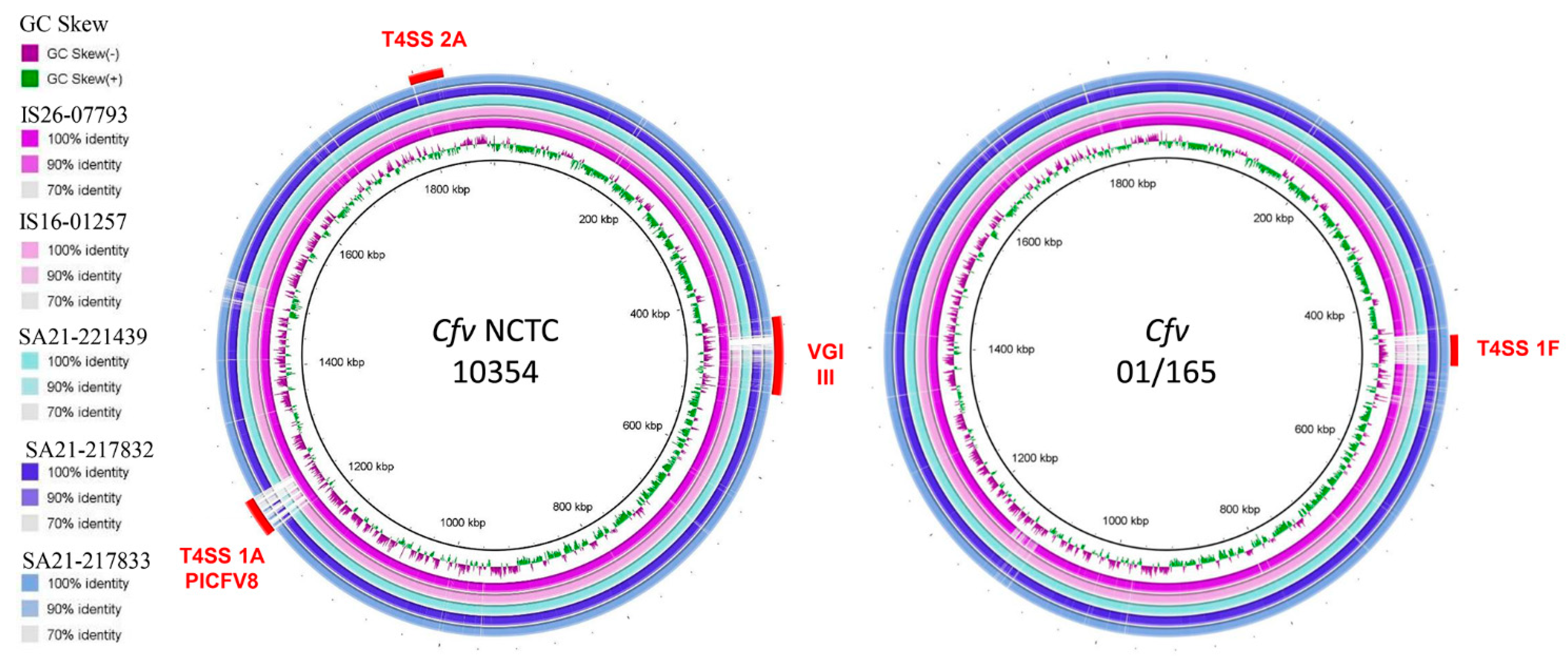 Microorganisms 09 00340 g001