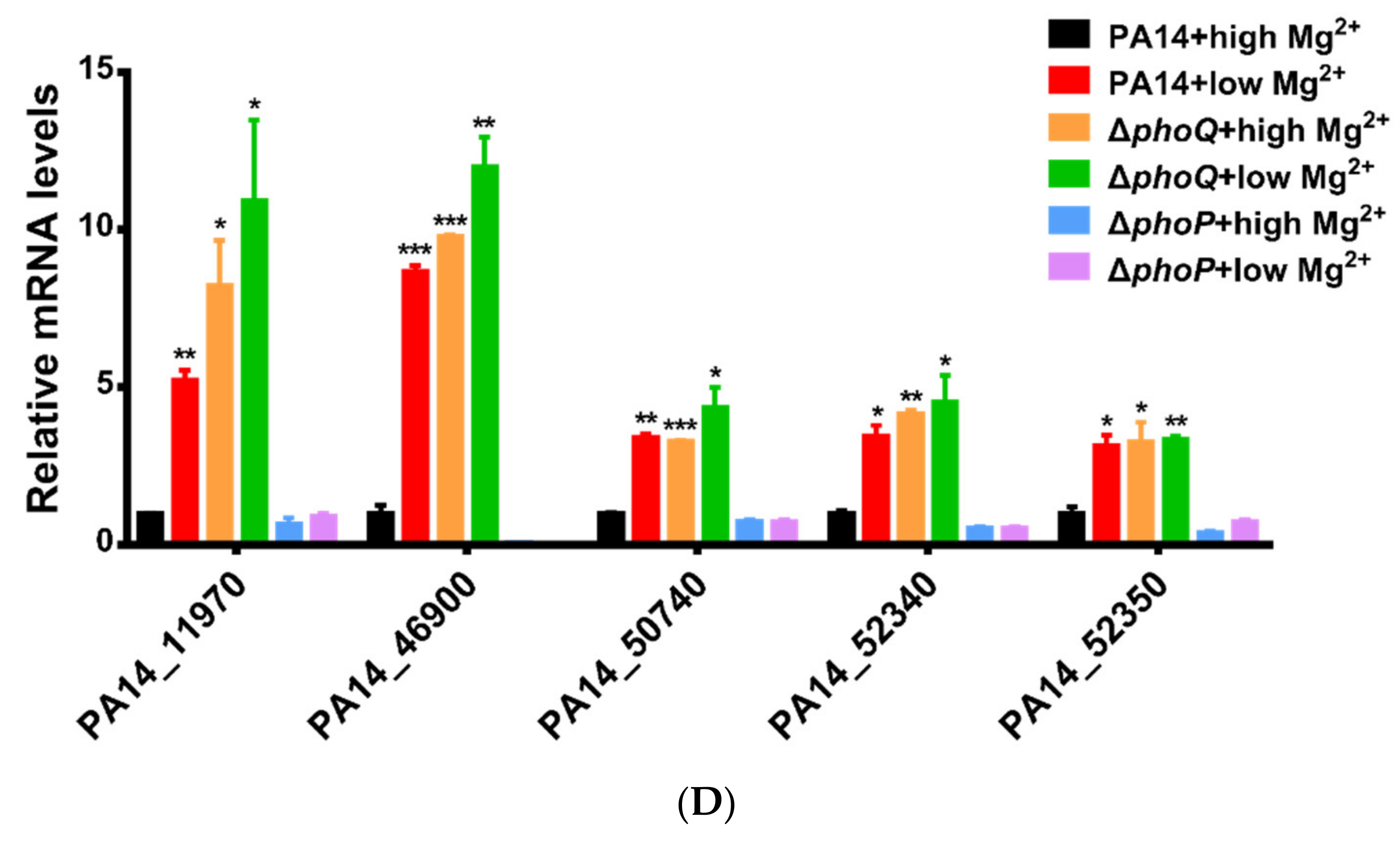 Microorganisms 09 00344 g001b Microorganisms 09 00344 g001b