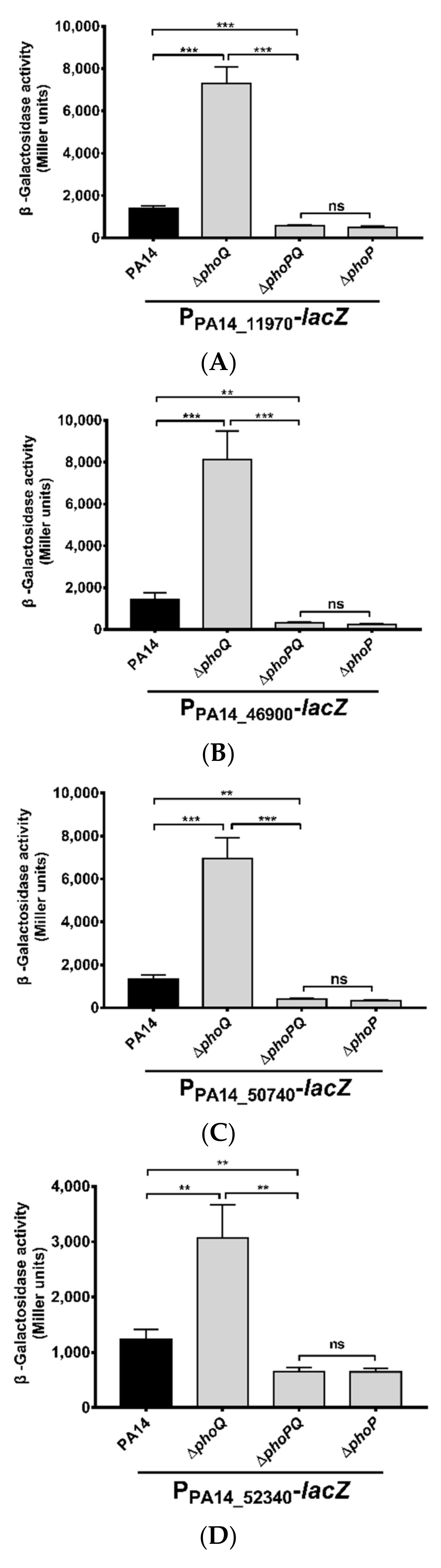 Microorganisms 09 00344 g002a Microorganisms 09 00344 g002a