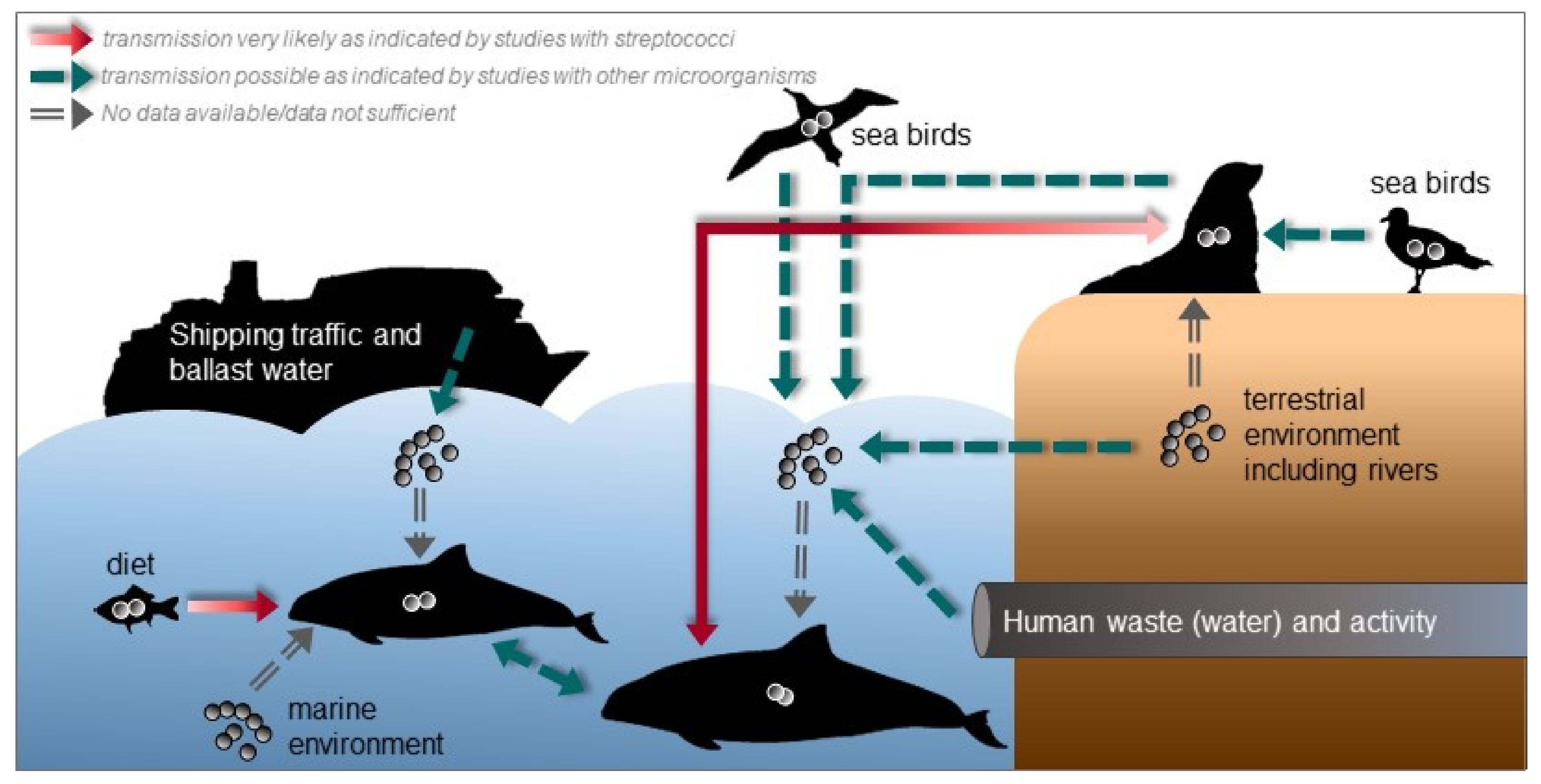 Microorganisms 09 00350 g003