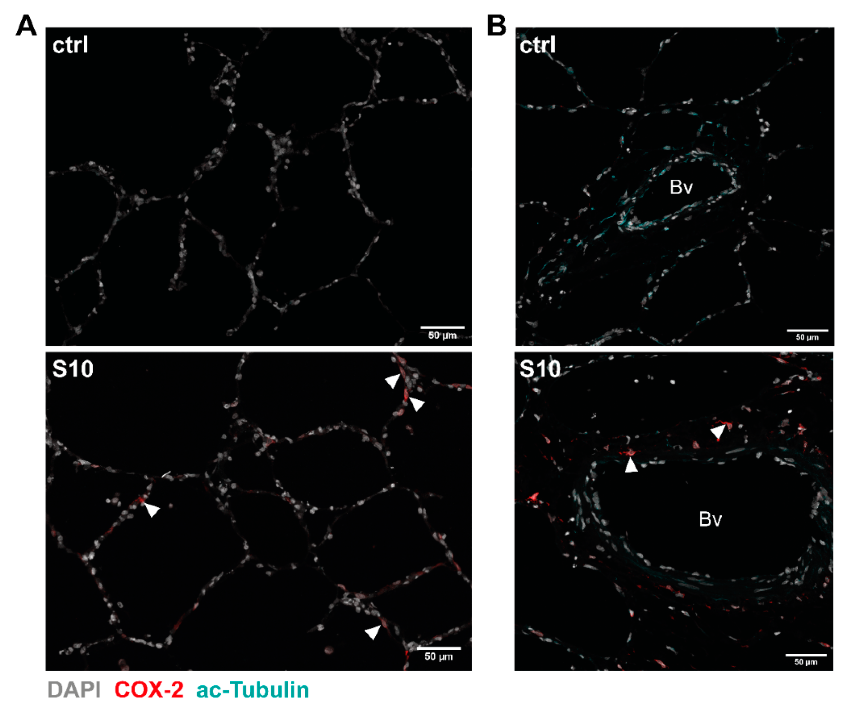 Microorganisms 09 00366 g003 Microorganisms 09 00366 g003