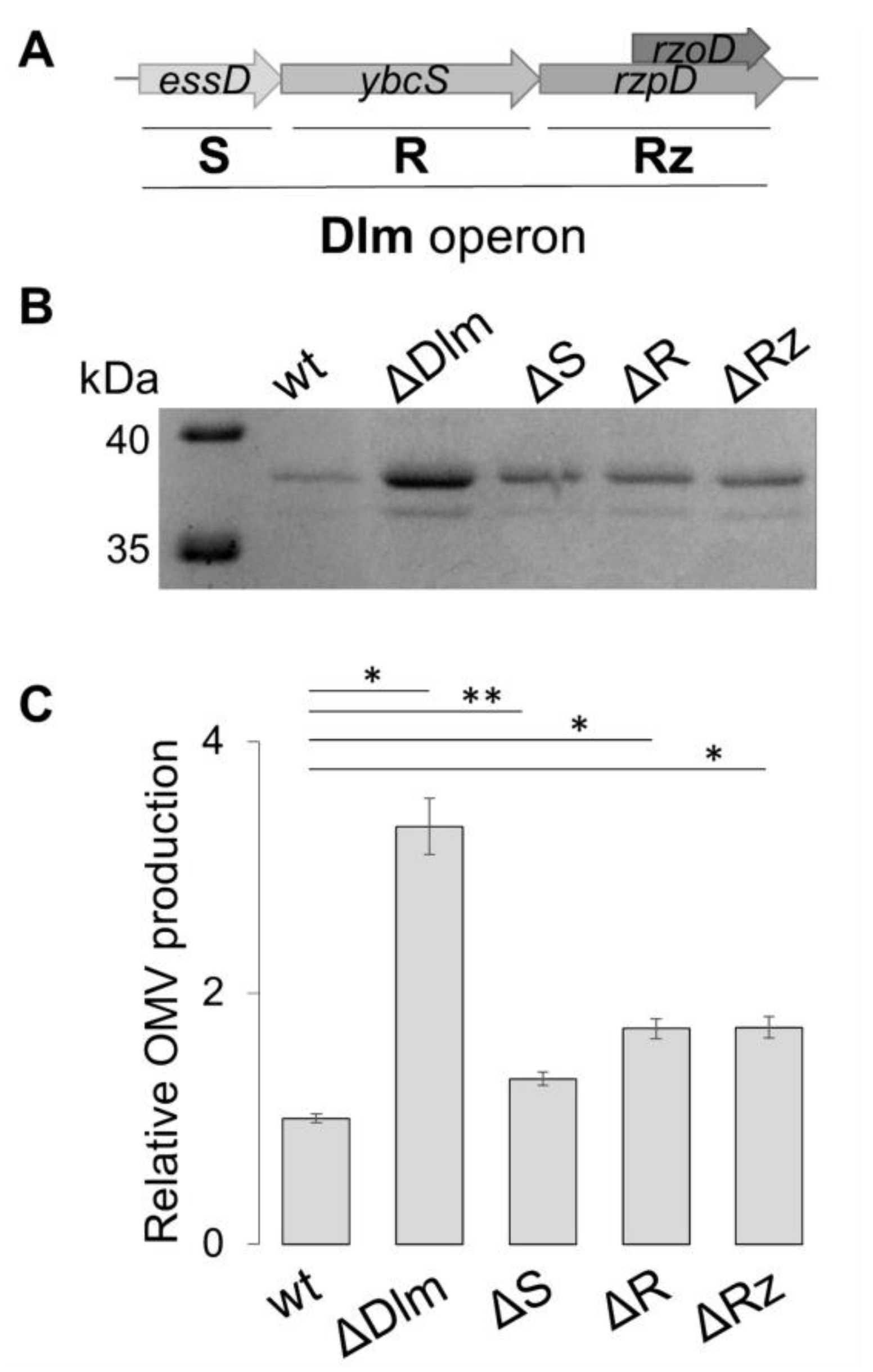 Microorganisms 09 00369 g004