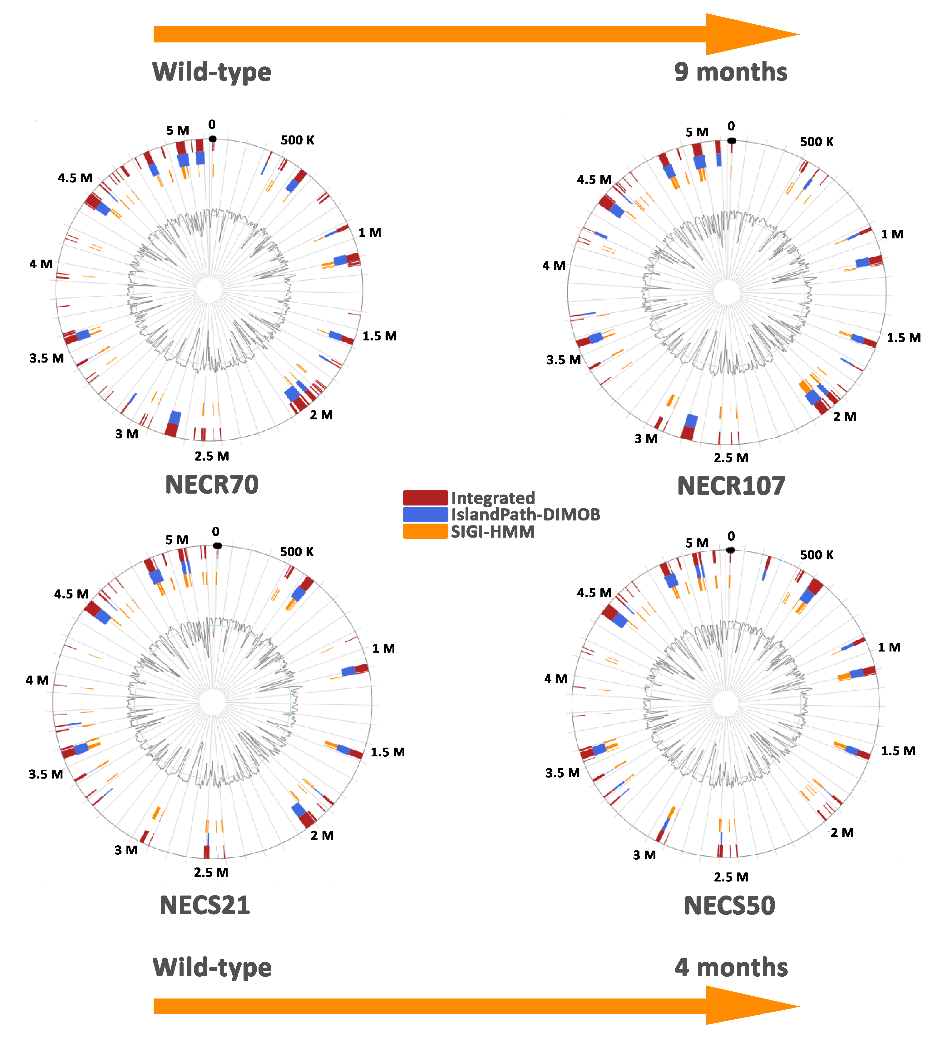 Microorganisms 09 00380 g002 Microorganisms 09 00380 g002