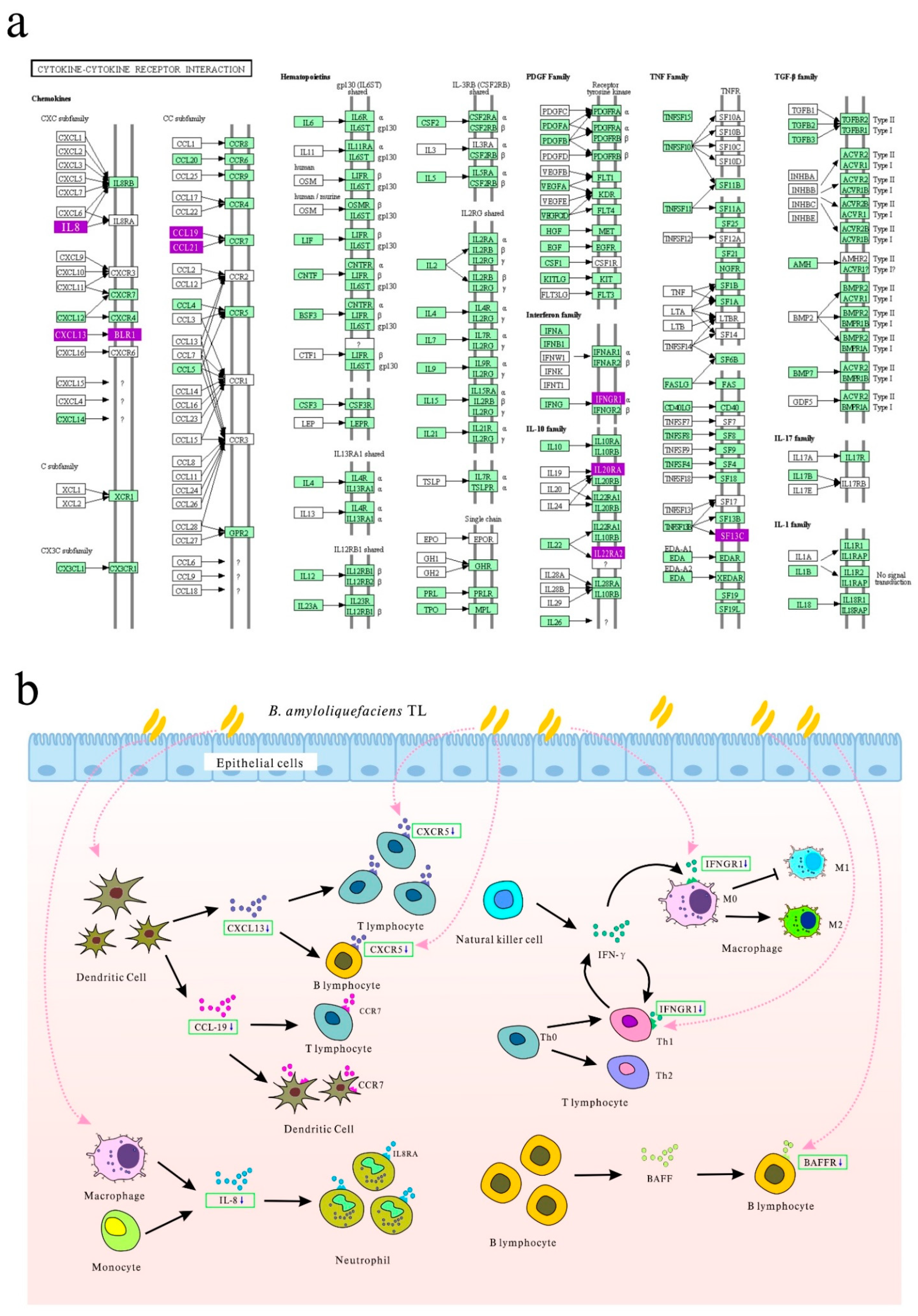 Microorganisms 09 00382 g006 Microorganisms 09 00382 g006