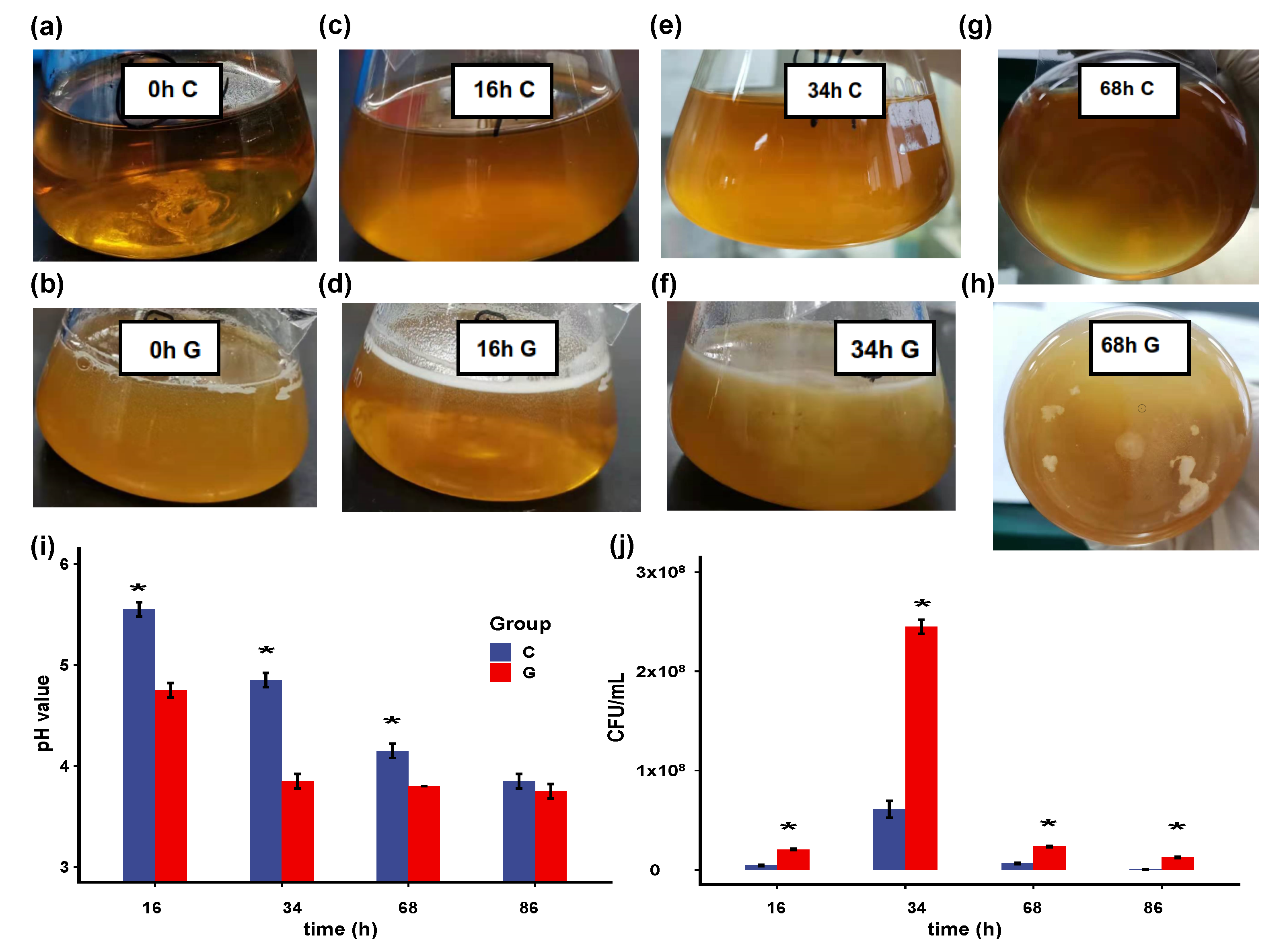 Microorganisms 09 00385 g001 Microorganisms 09 00385 g001
