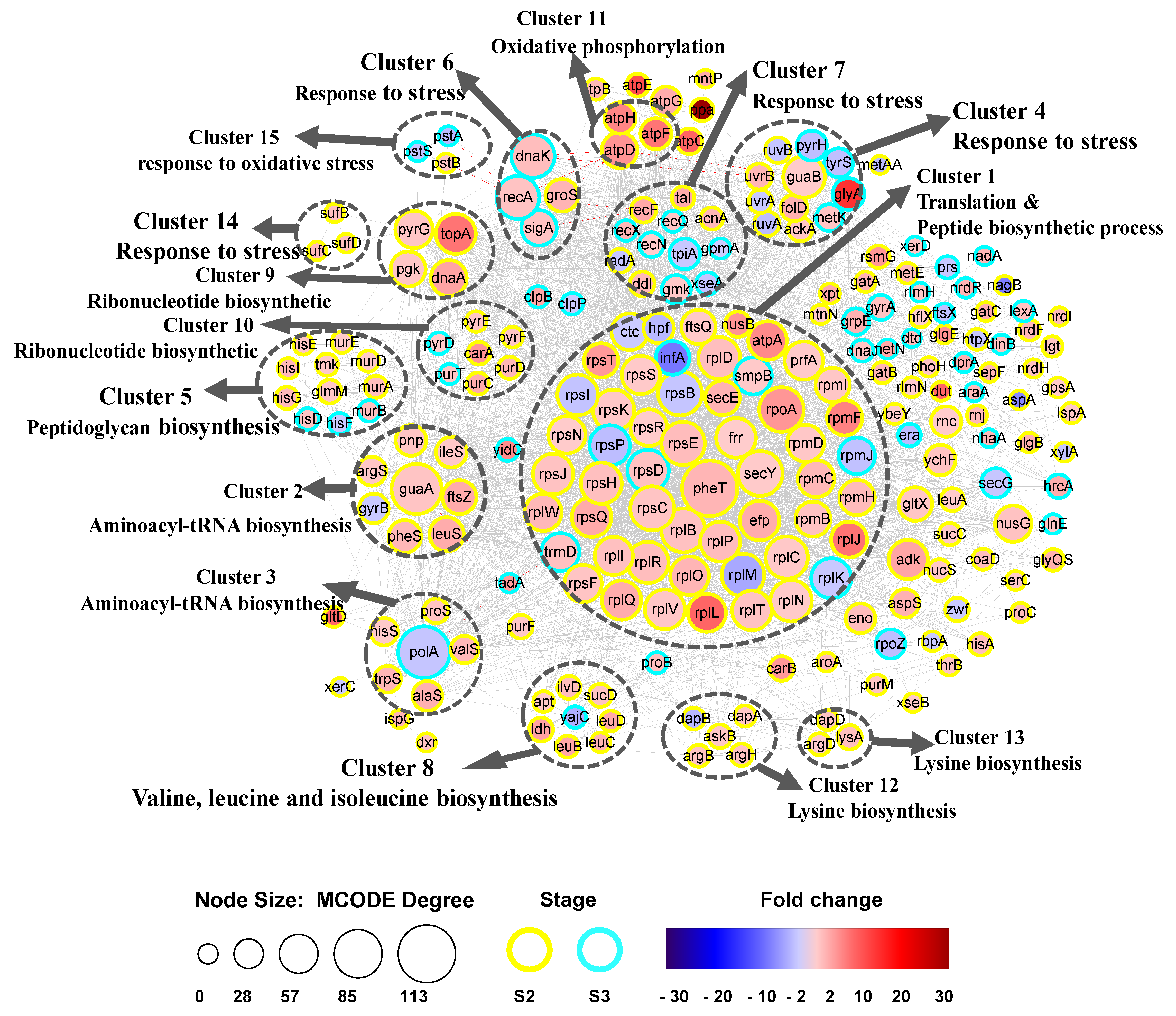 Microorganisms 09 00385 g003 Microorganisms 09 00385 g003