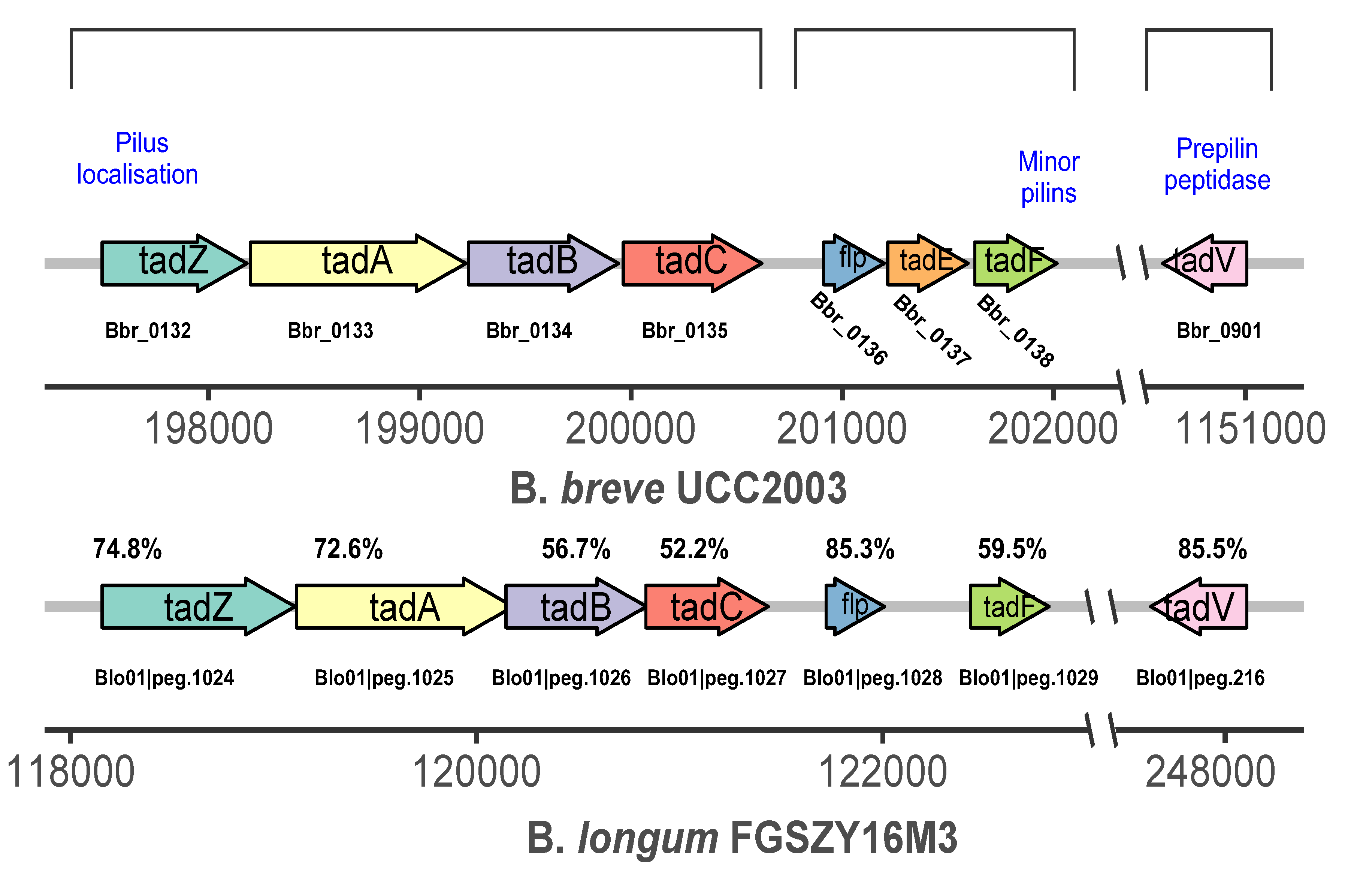 Microorganisms 09 00385 g004 Microorganisms 09 00385 g004