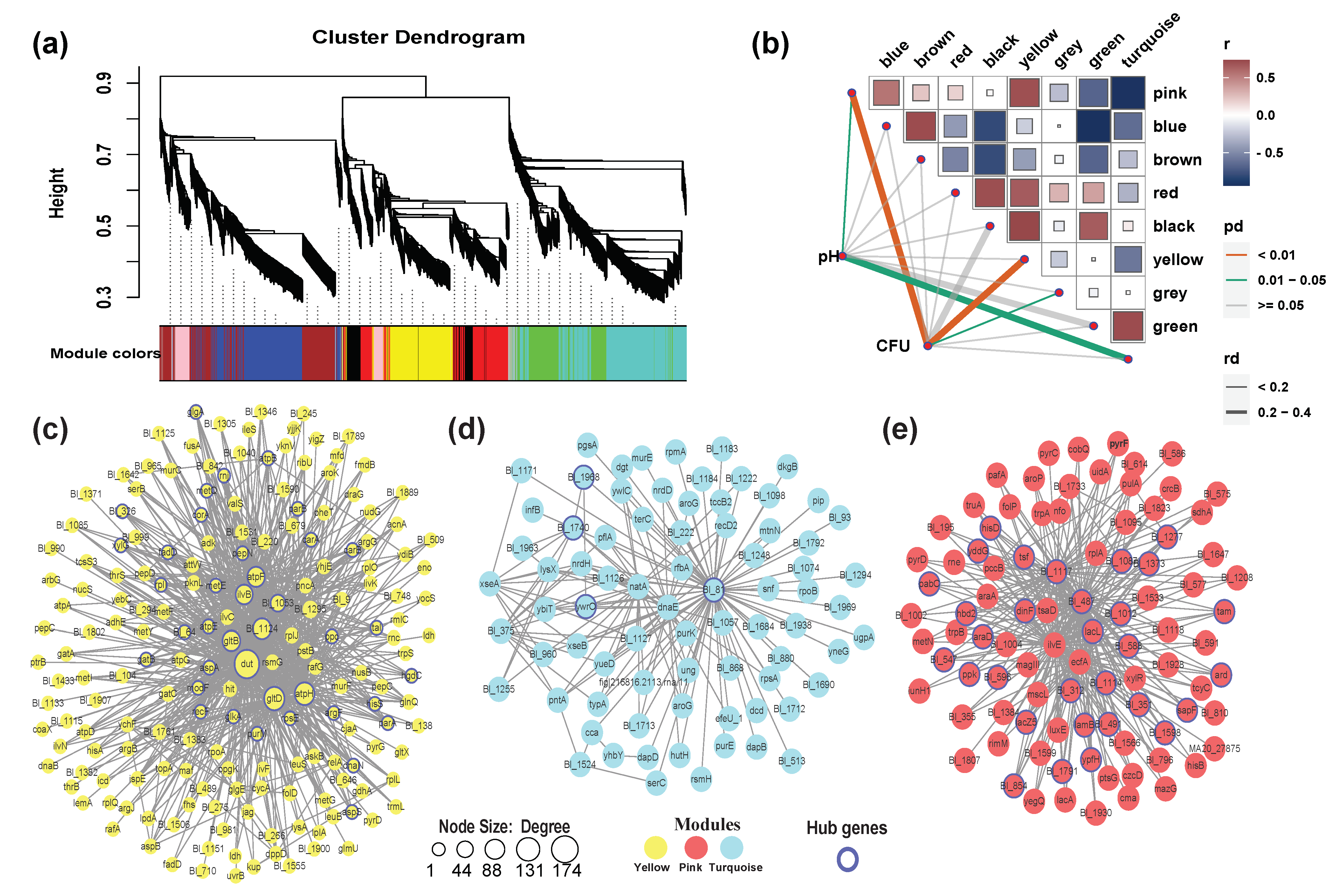 Microorganisms 09 00385 g005 Microorganisms 09 00385 g005