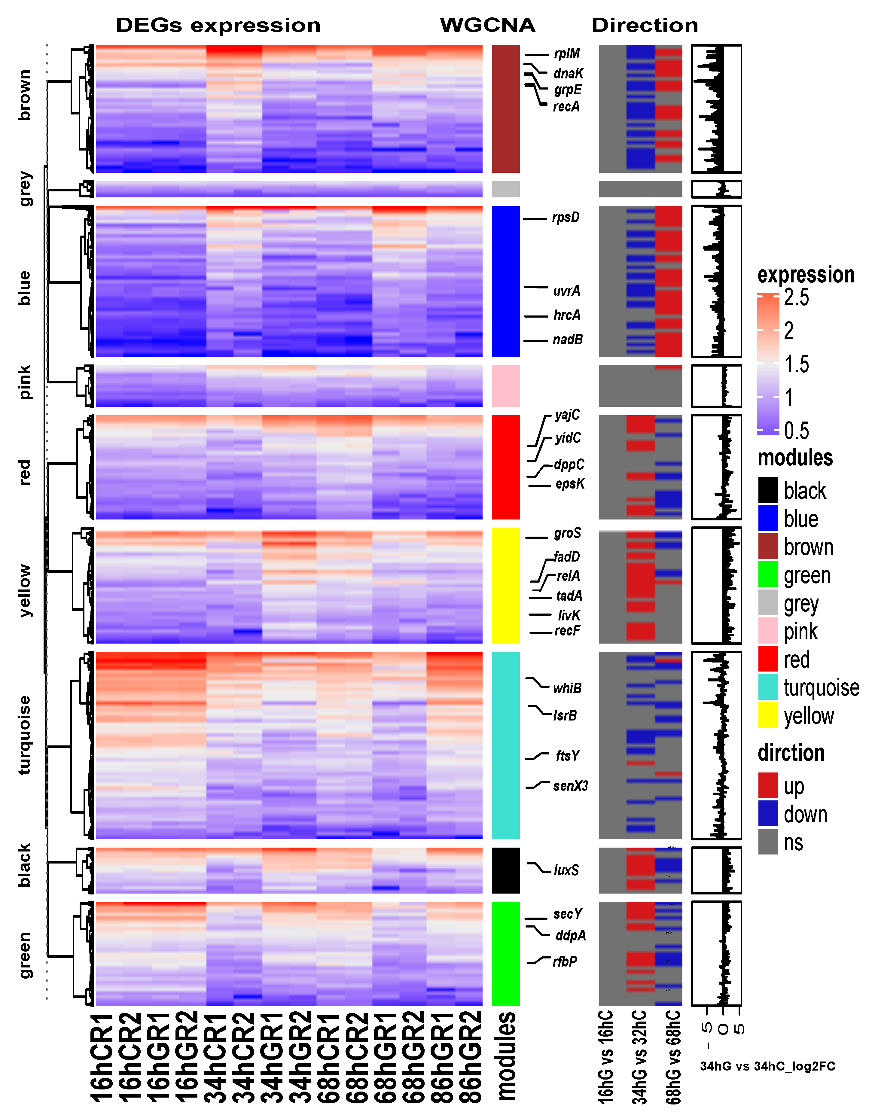 Microorganisms 09 00385 g006 Microorganisms 09 00385 g006