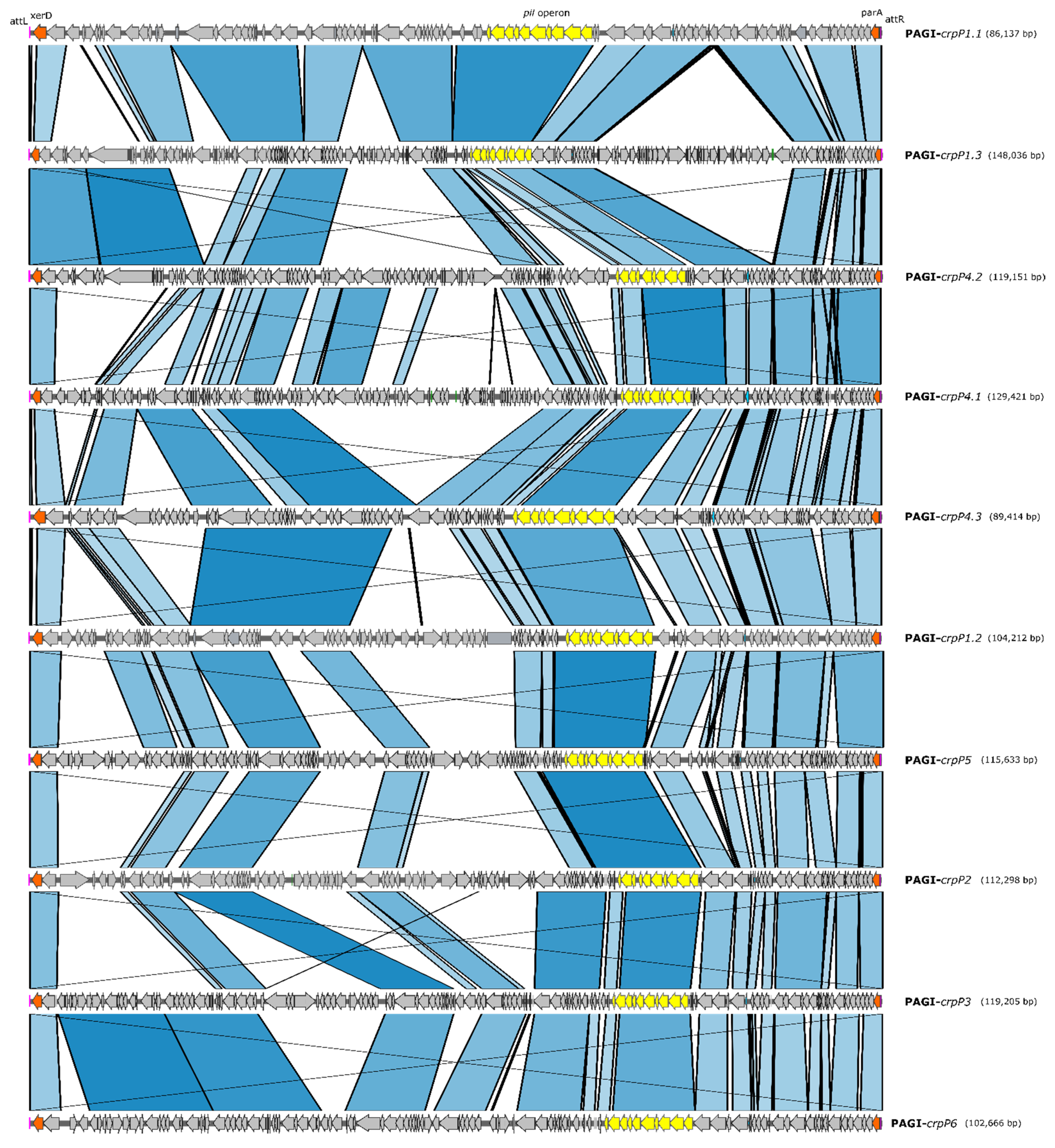 Microorganisms 09 00388 g002