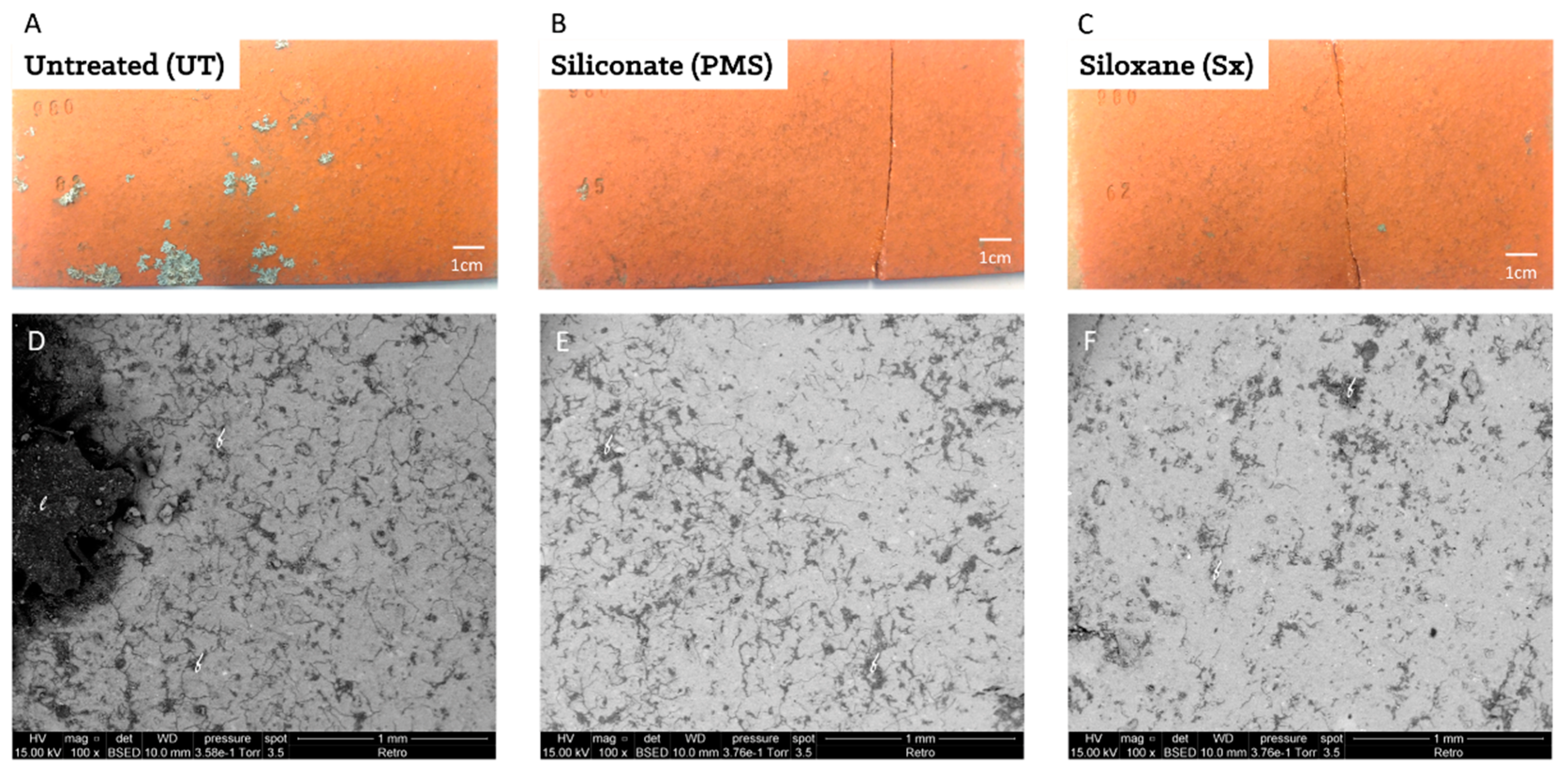 Microorganisms Free Full Text Methyl Potassium Siliconate And Siloxane Inhibit The Formation Of Multispecies Biofilms On Ceramic Roof Tiles Efficiency And Comparison Of Two Common Water Repellents Html