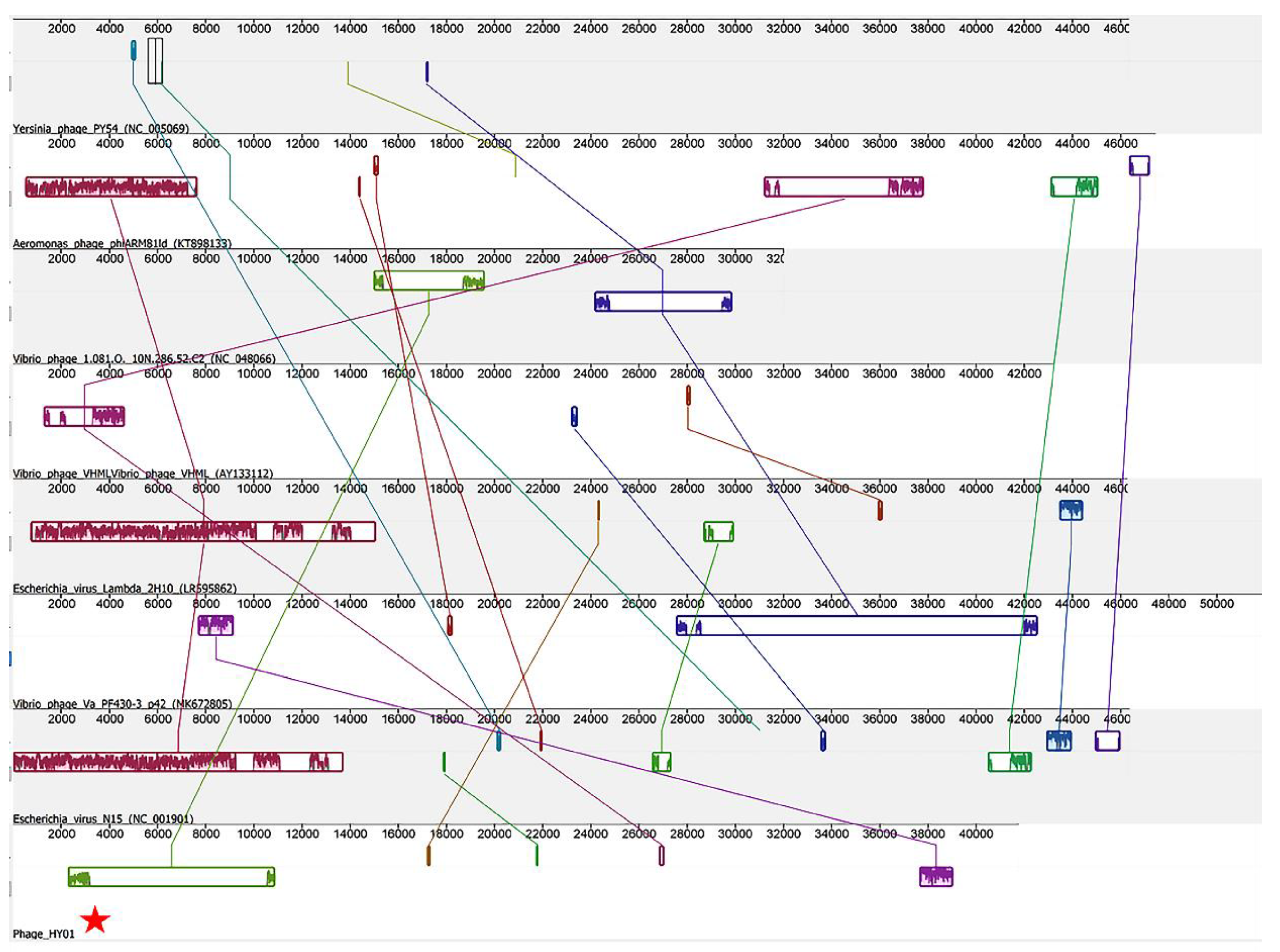Microorganisms 09 00400 g004
