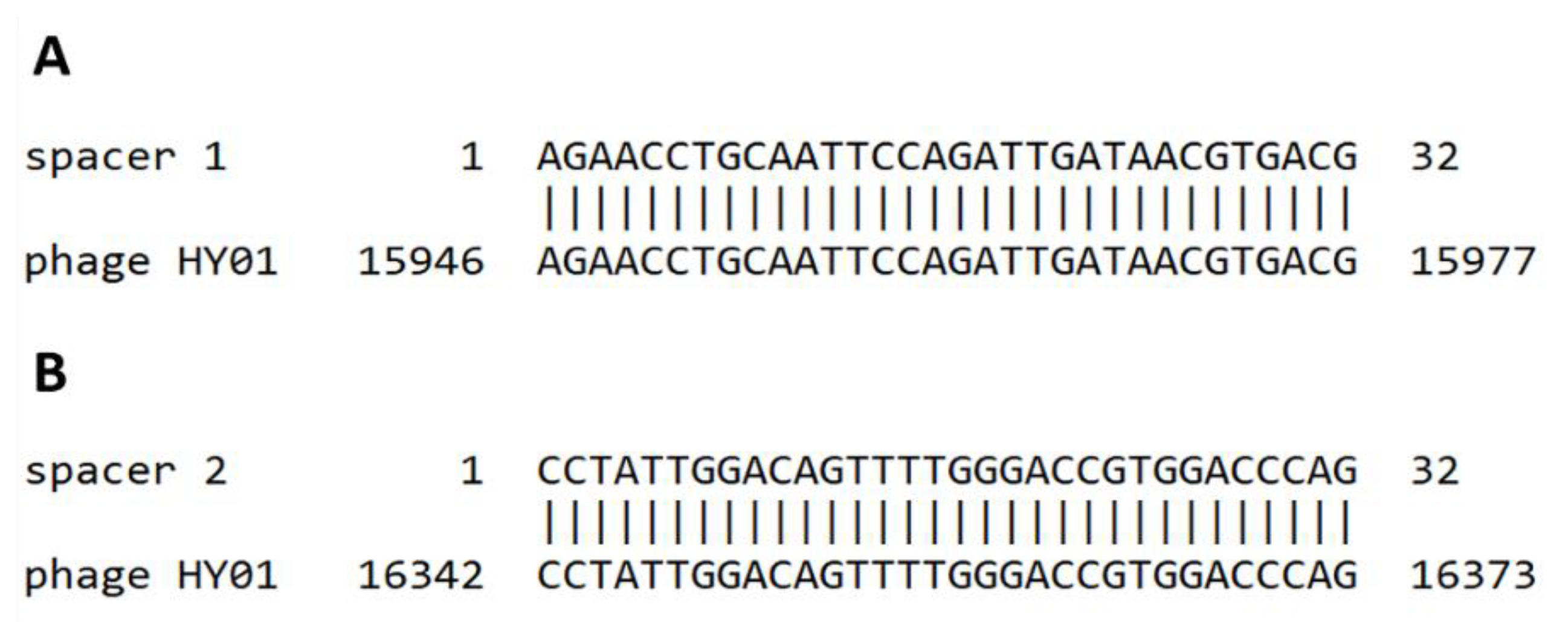 Microorganisms 09 00400 g007