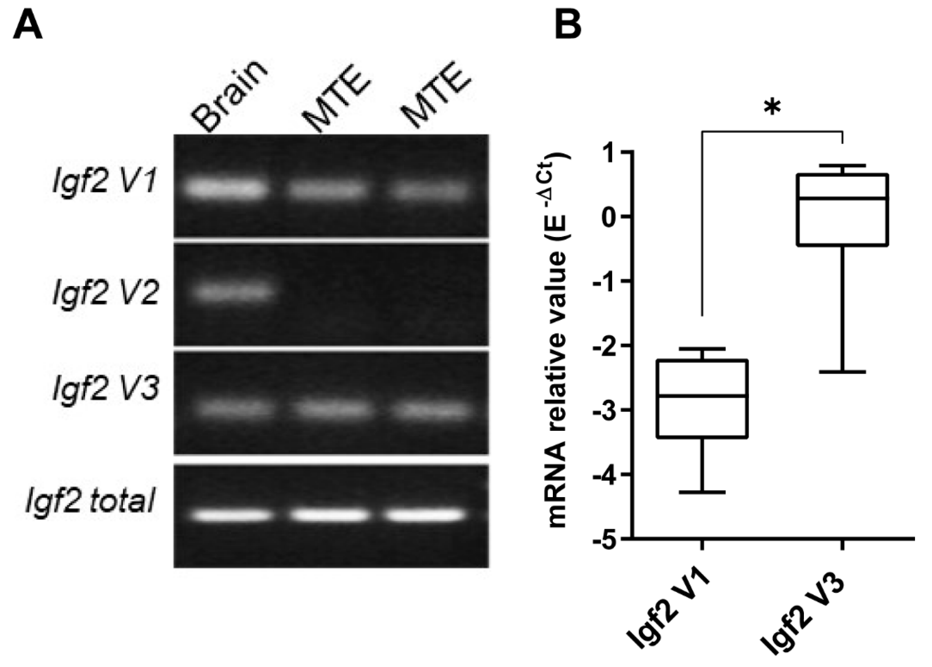 Microorganisms 09 00402 g001 Microorganisms 09 00402 g001