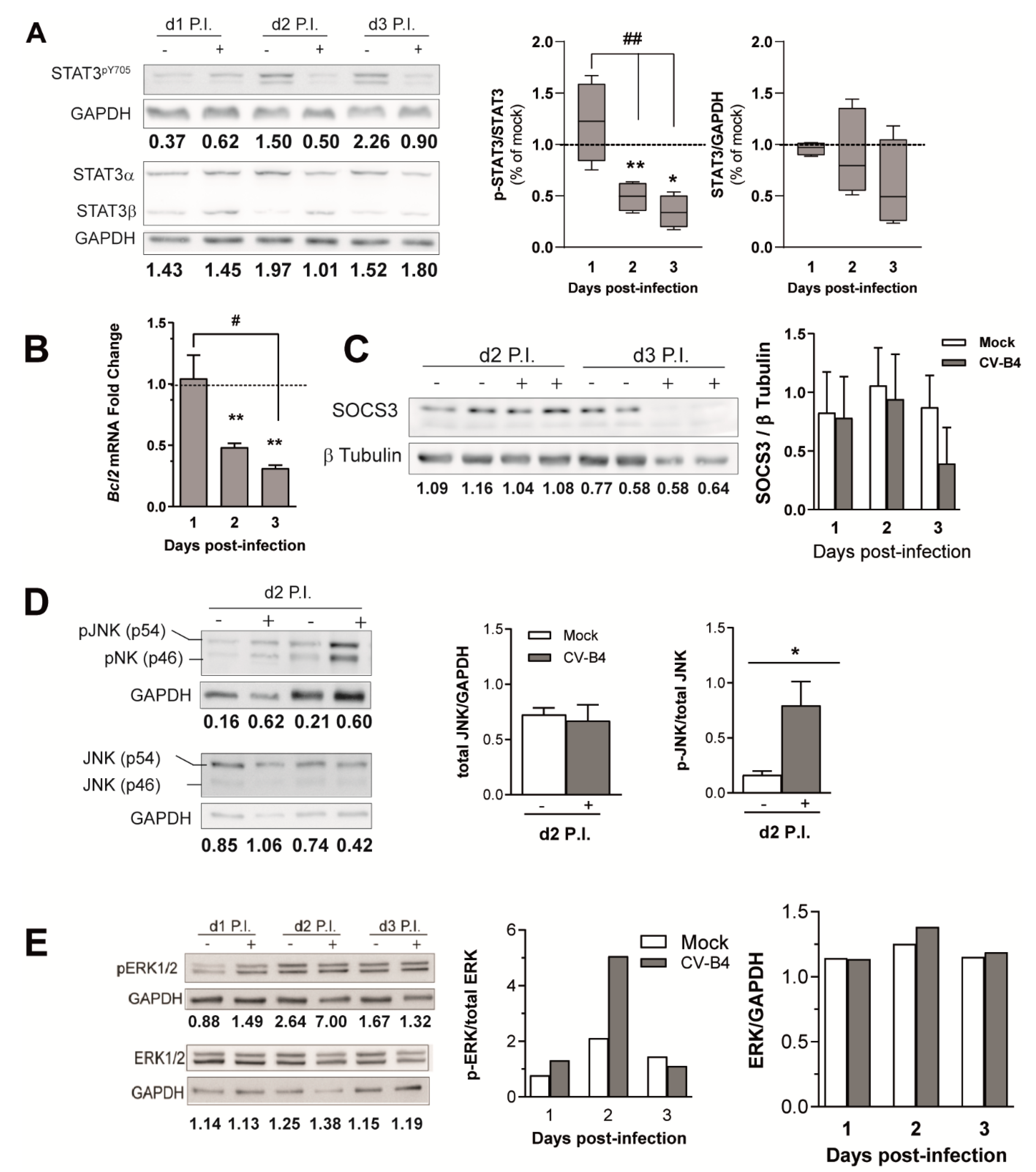 Microorganisms 09 00402 g005 Microorganisms 09 00402 g005