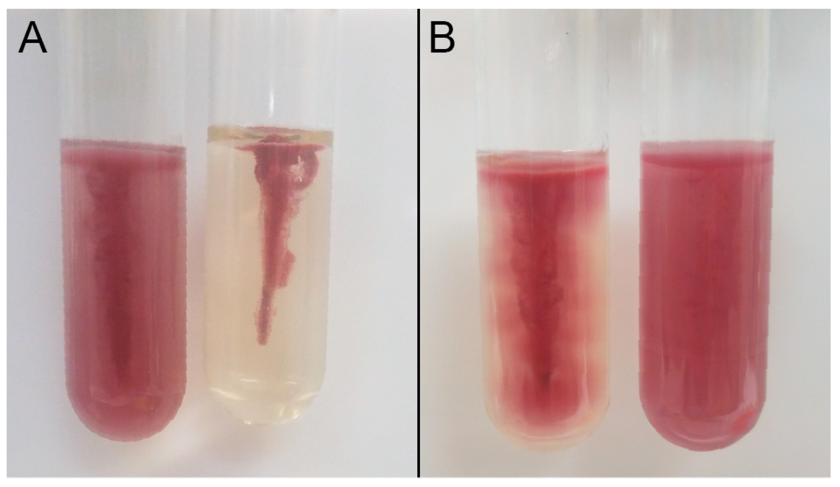 Microorganisms 09 00403 g002 Microorganisms 09 00403 g002