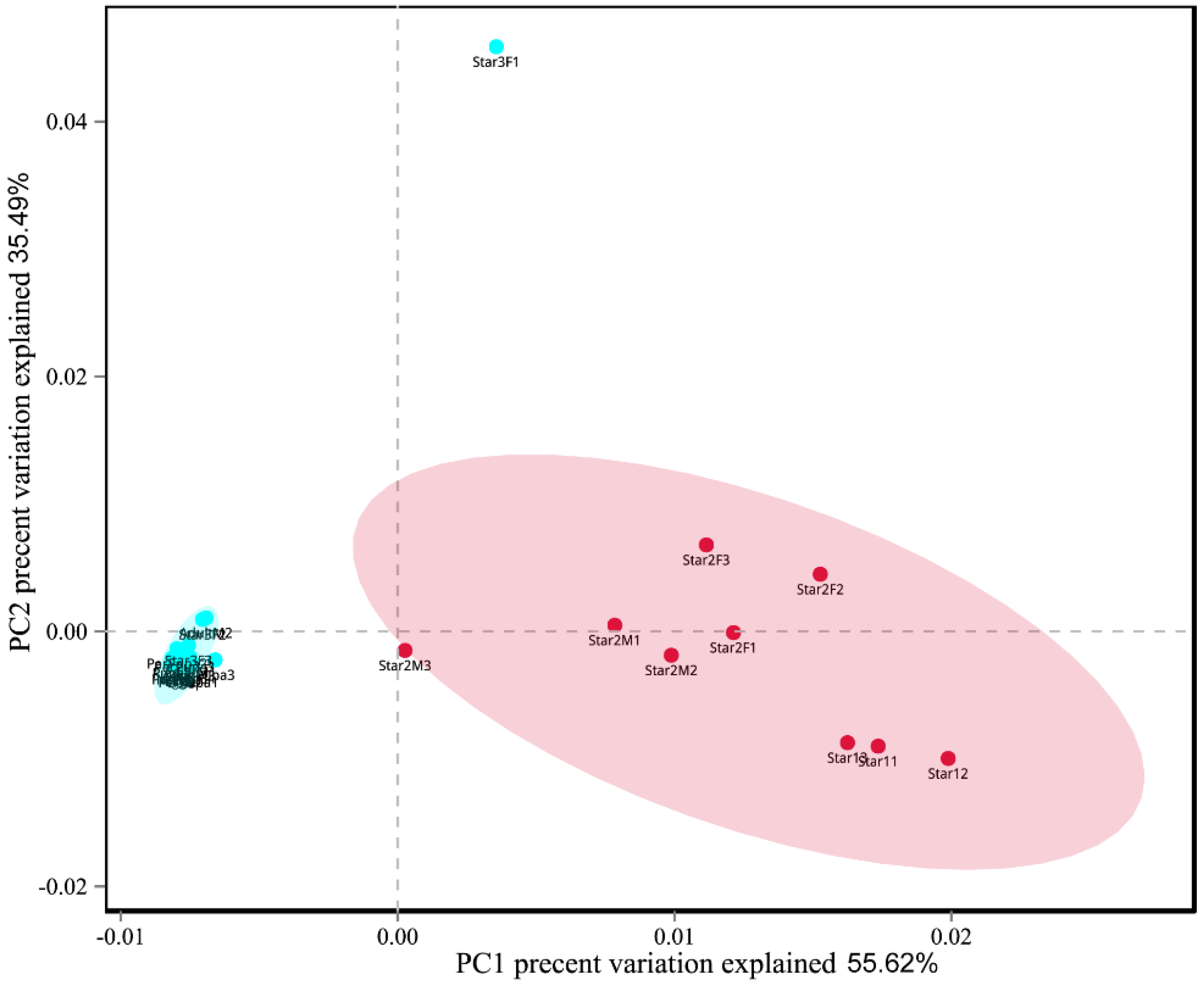 Microorganisms 09 00404 g007