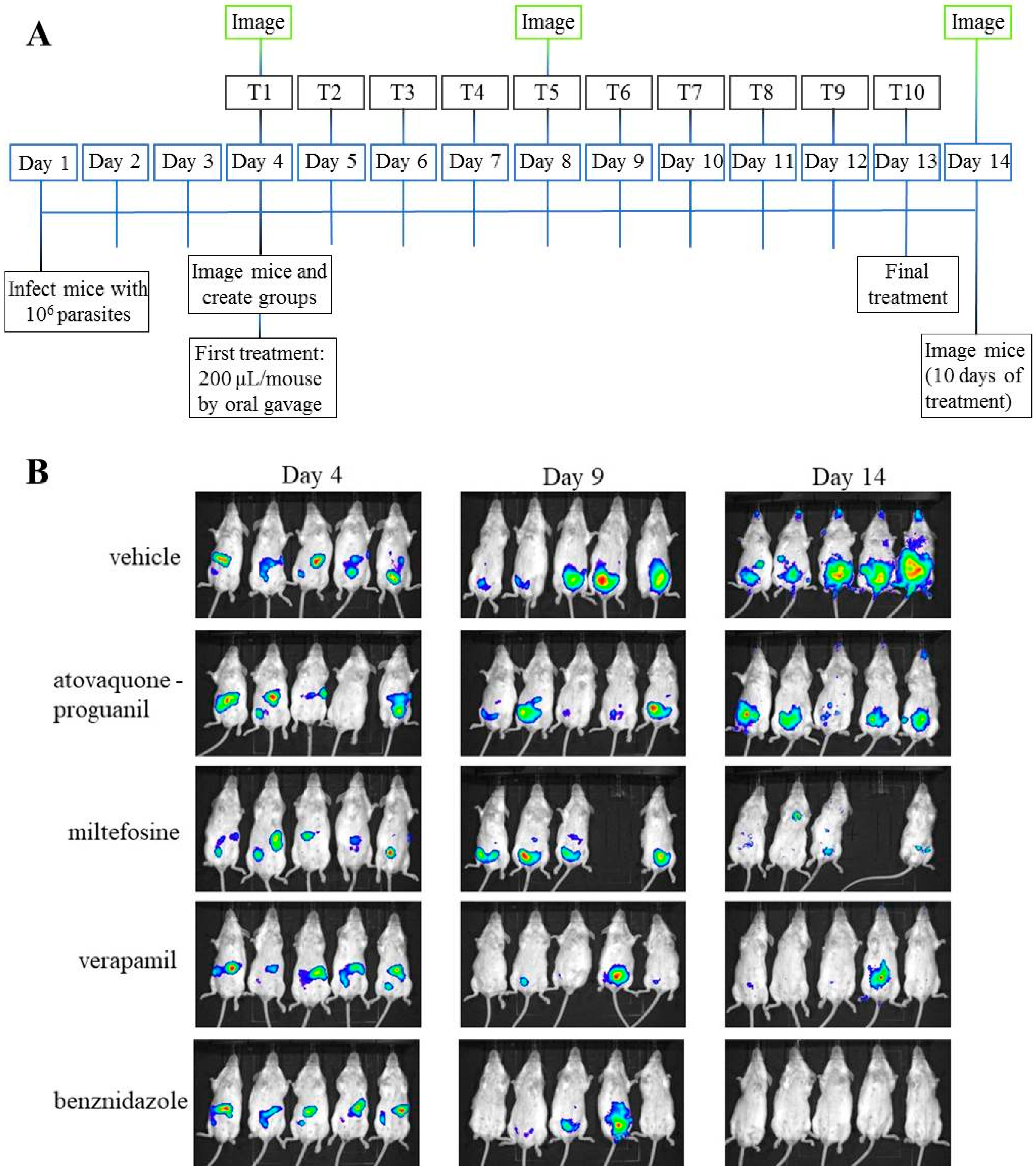 Microorganisms 09 00406 g007 Microorganisms 09 00406 g007