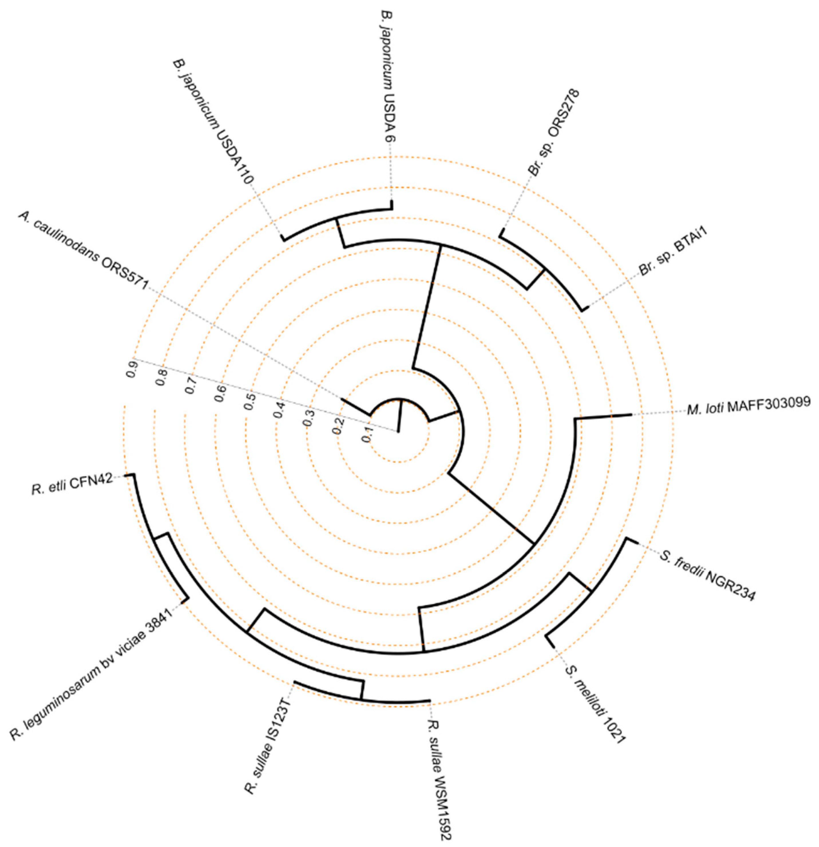 Microorganisms 09 00407 g002