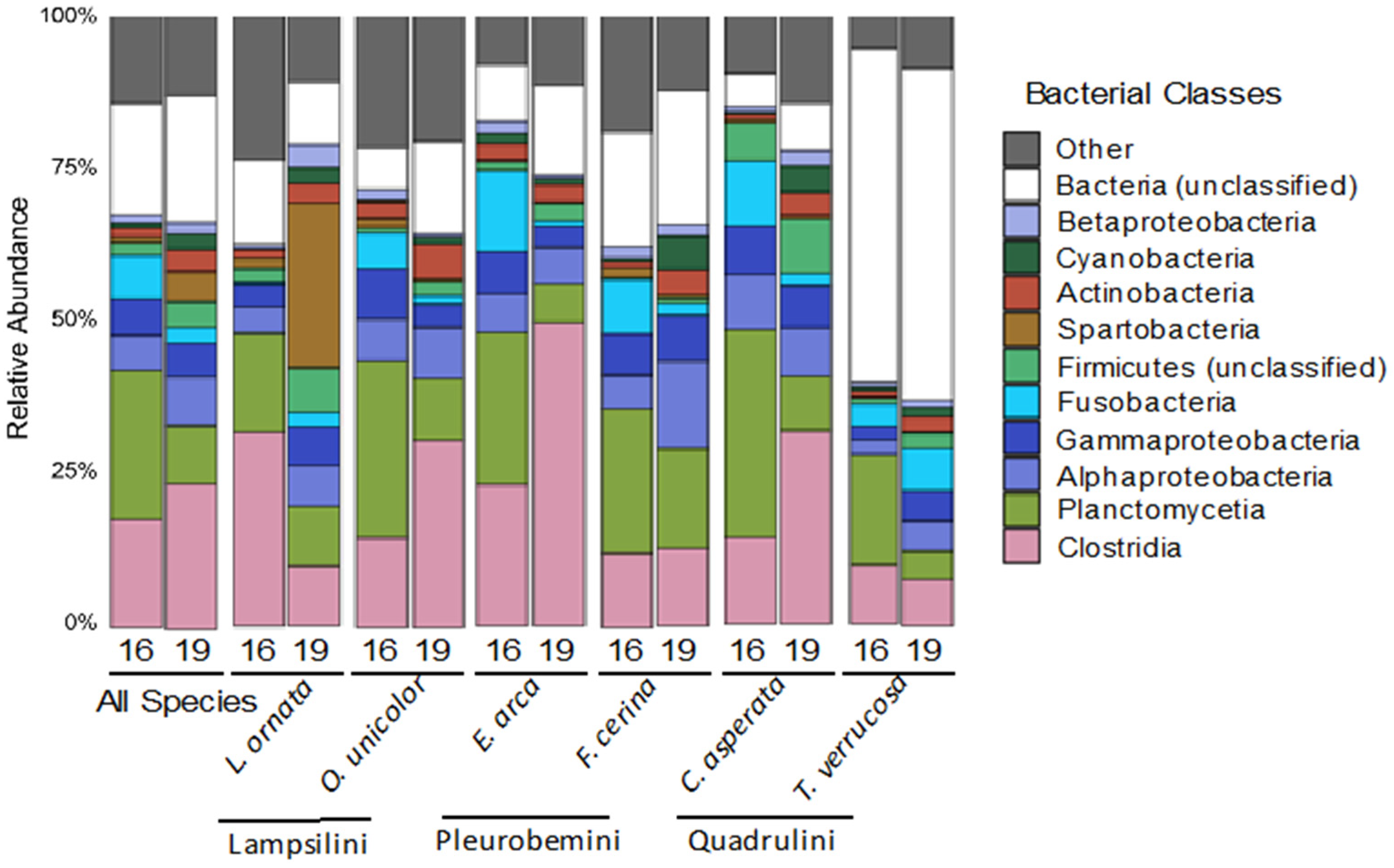 Microorganisms 09 00411 g002