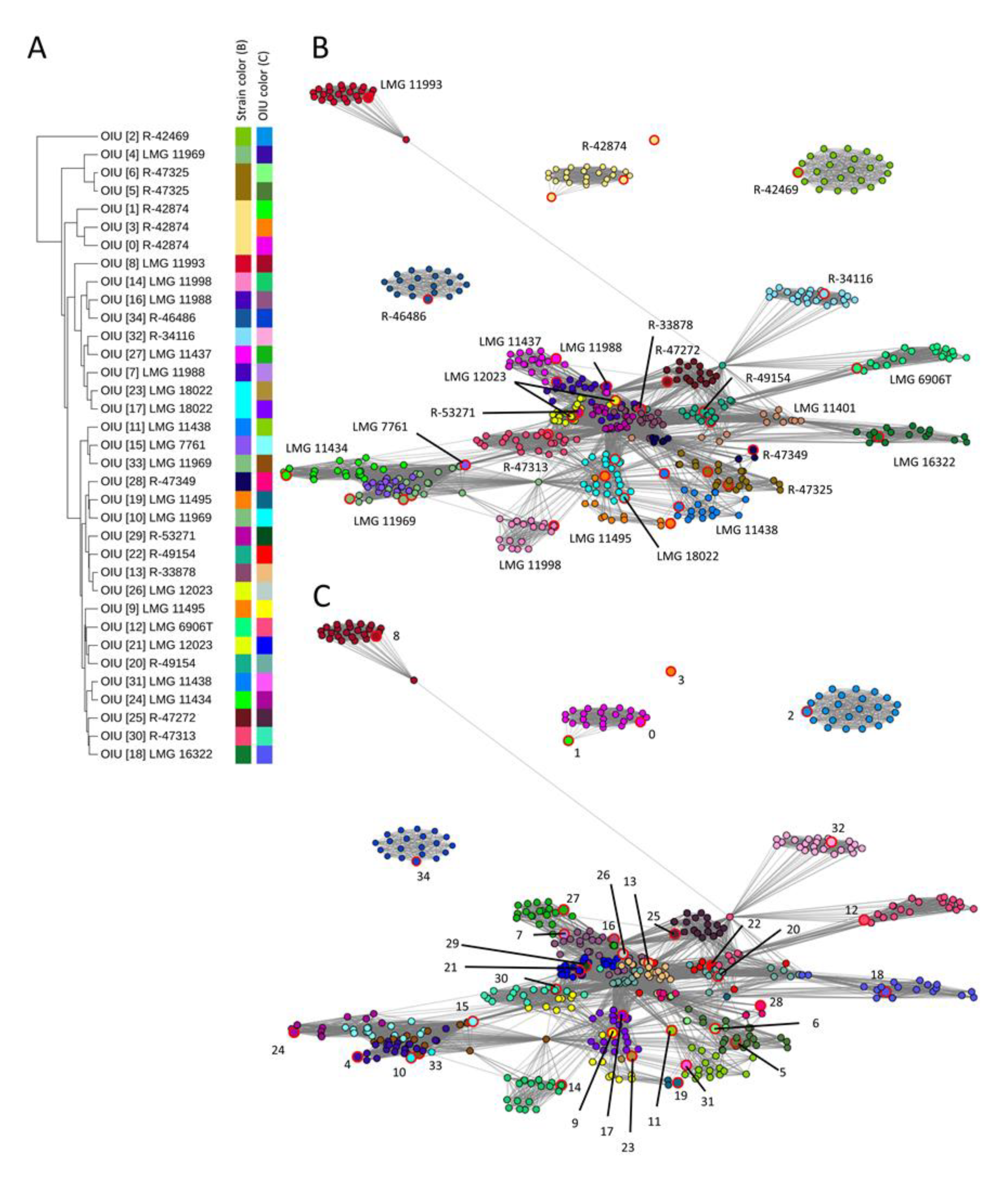 Microorganisms 09 00416 g001 Microorganisms 09 00416 g001