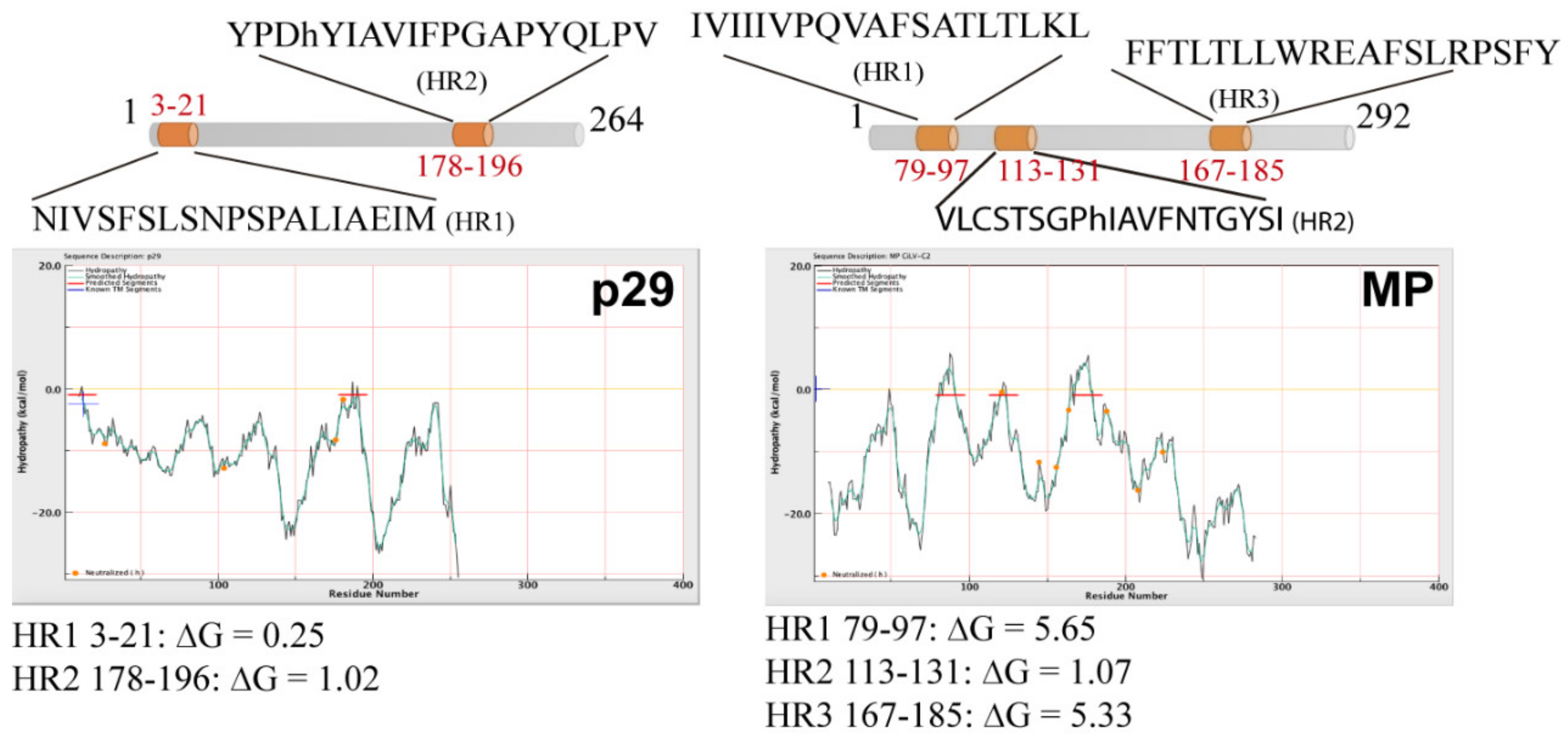 Microorganisms 09 00418 g001