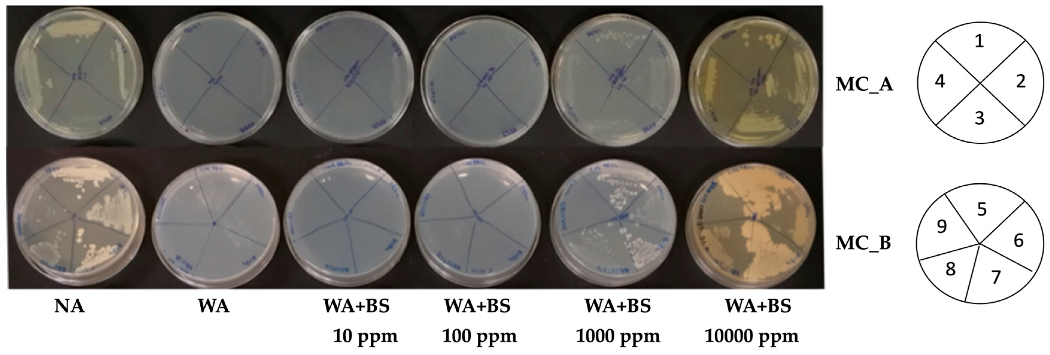 Microorganisms 09 00426 g003 Microorganisms 09 00426 g003