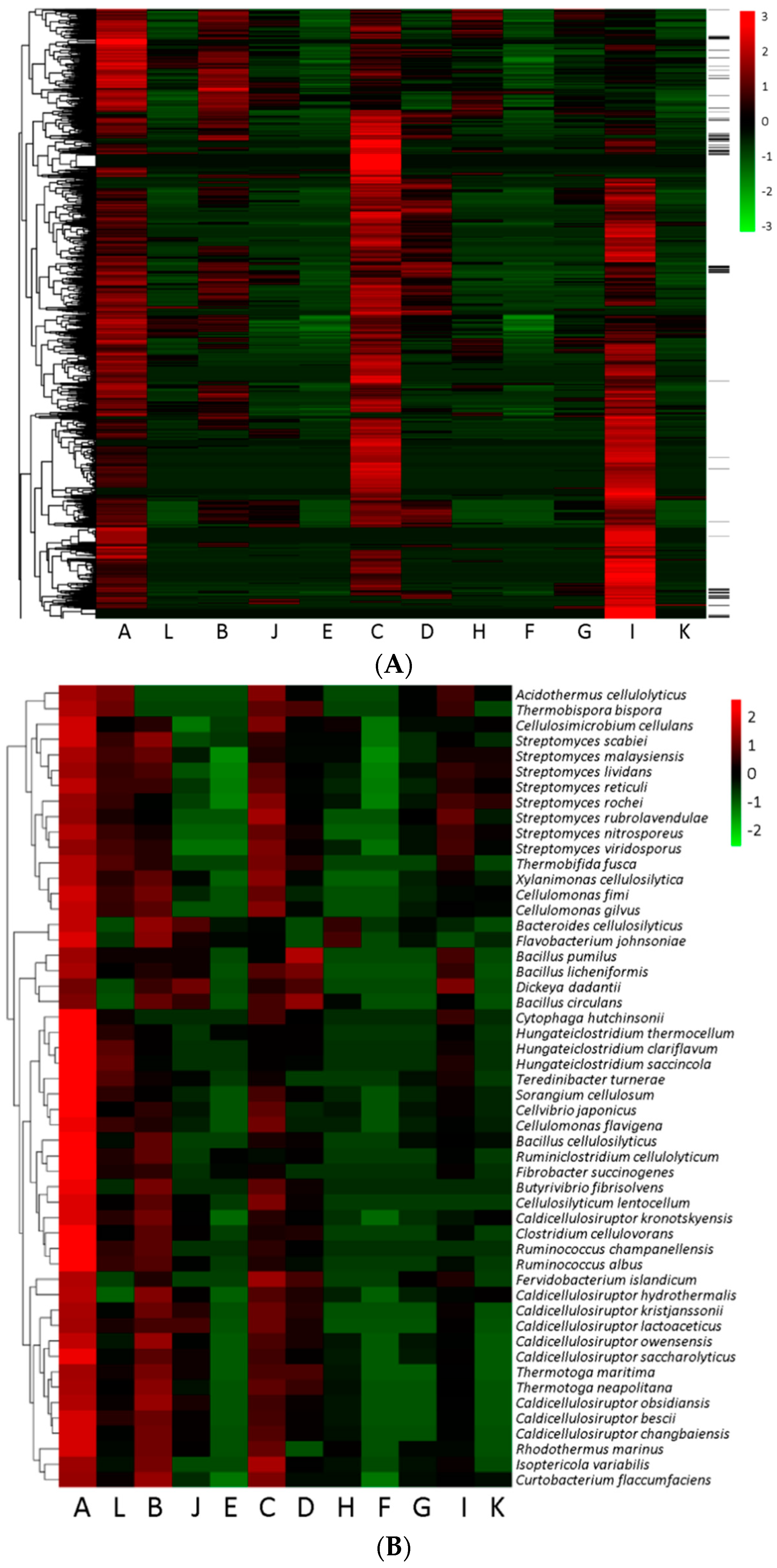 Microorganisms 09 00427 g004 Microorganisms 09 00427 g004