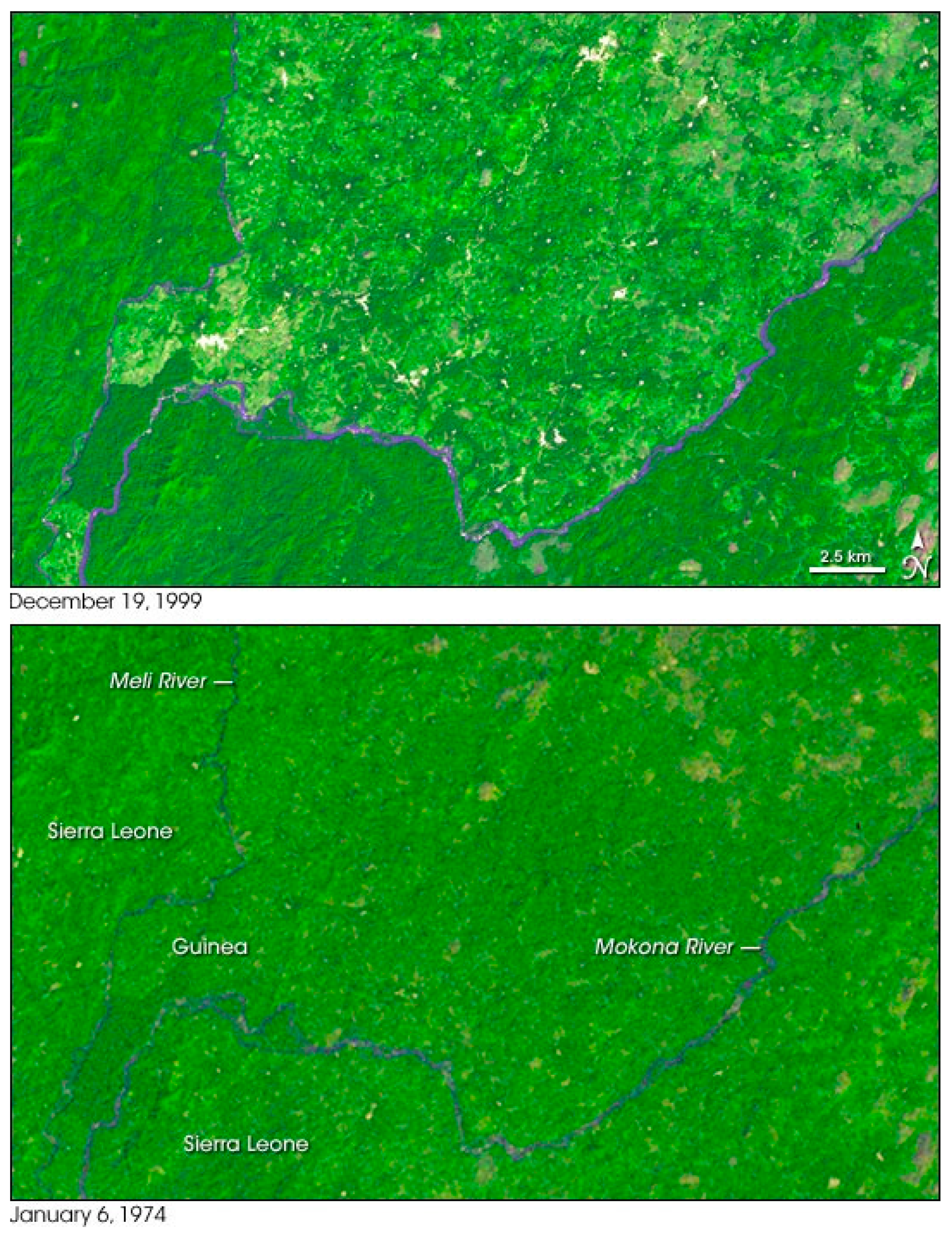 Microorganisms 09 00433 g001