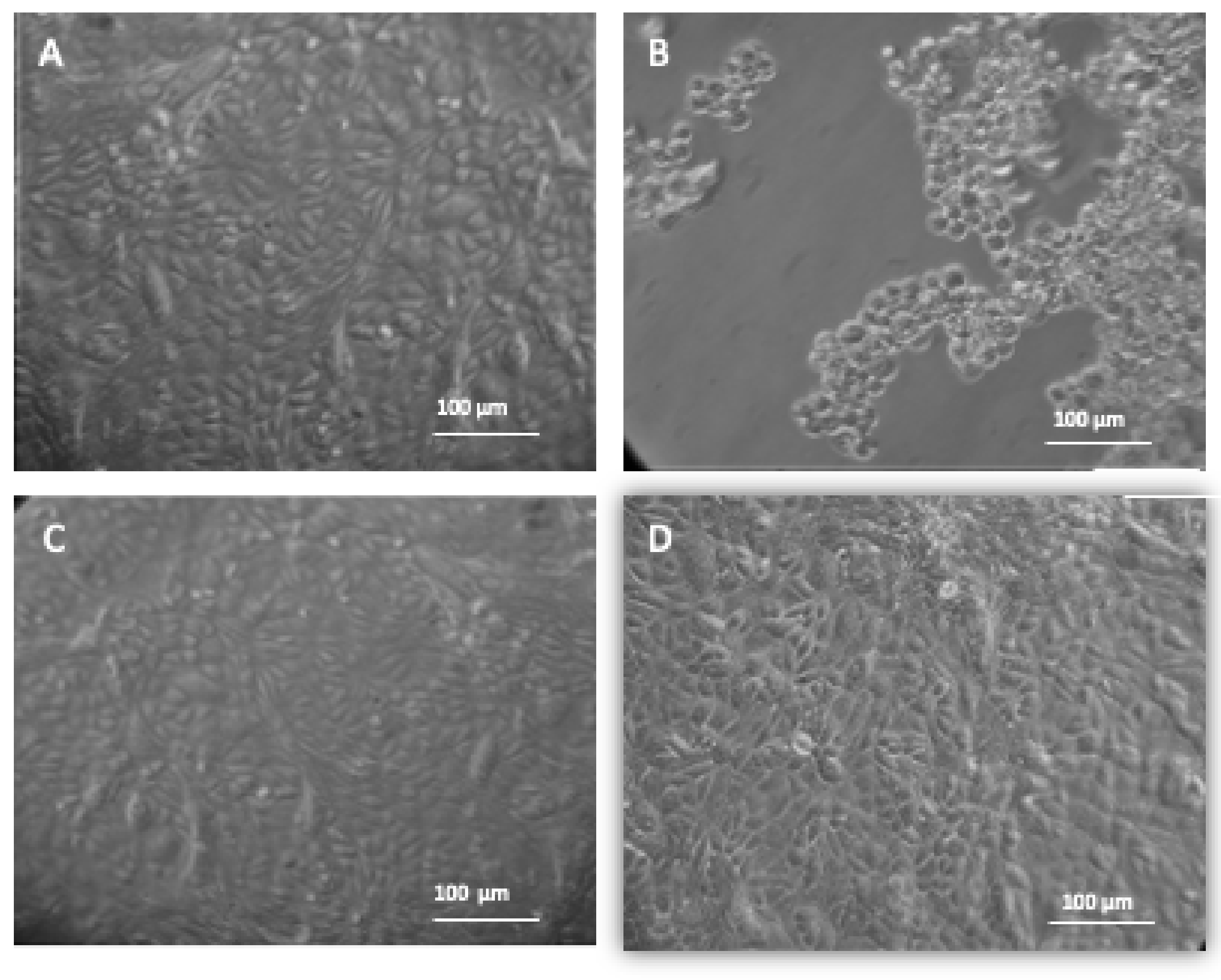 Microorganisms 09 00434 g004 Microorganisms 09 00434 g004