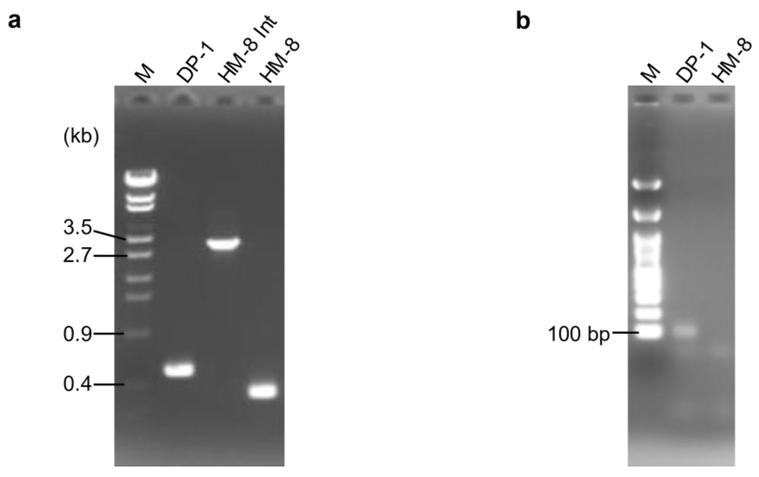 Microorganisms 09 00439 g001 Microorganisms 09 00439 g001