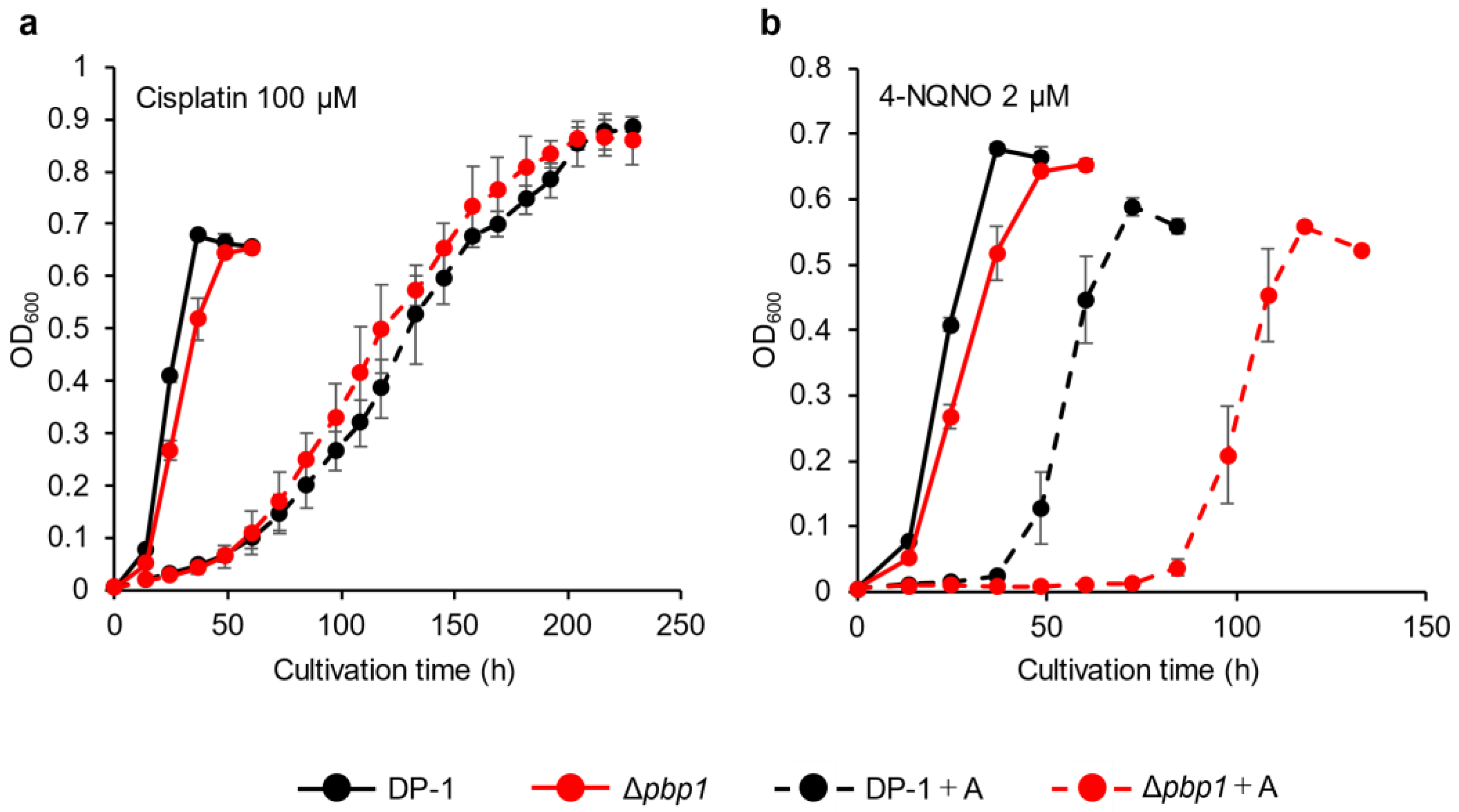 Microorganisms 09 00439 g004 Microorganisms 09 00439 g004