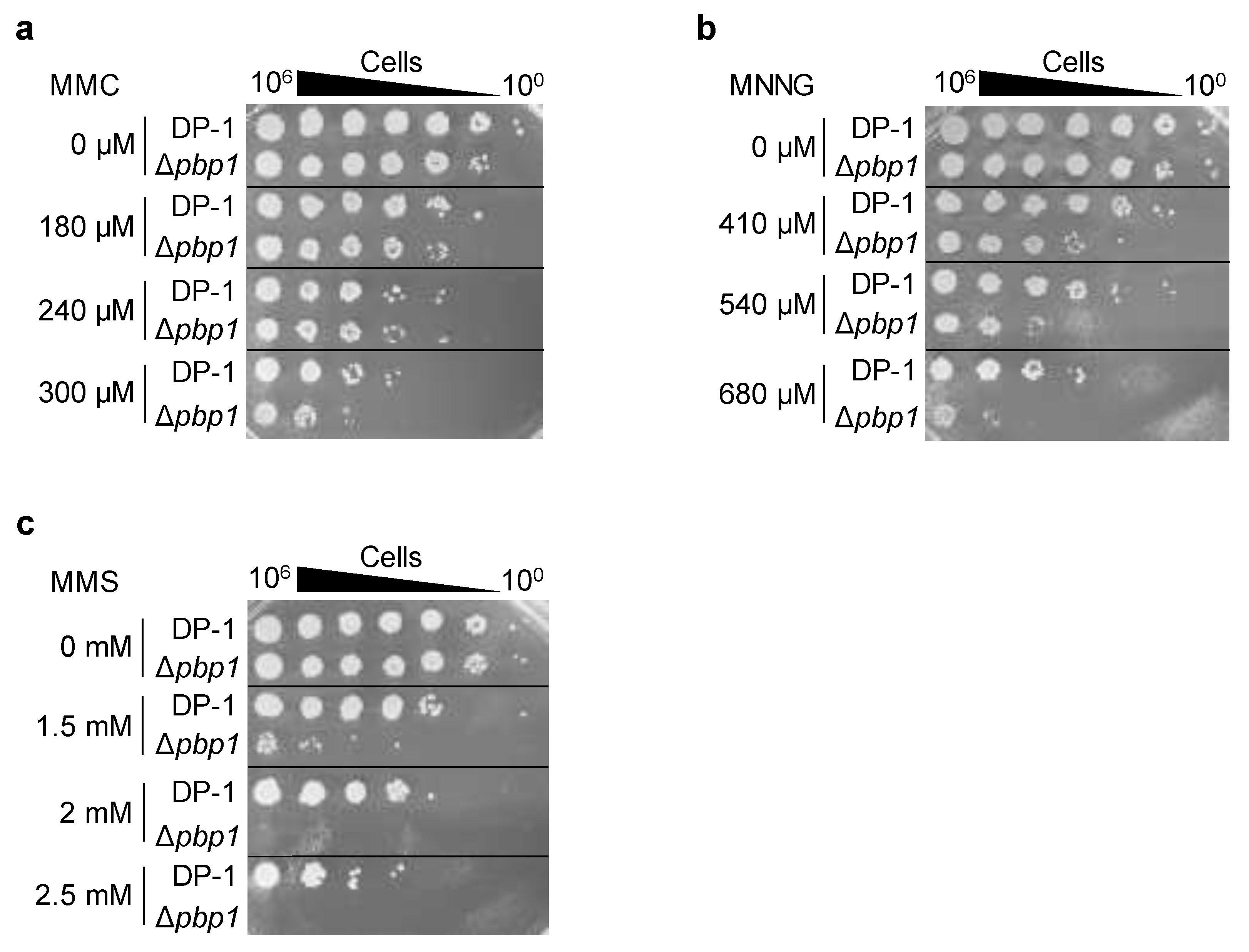 Microorganisms 09 00439 g005 Microorganisms 09 00439 g005