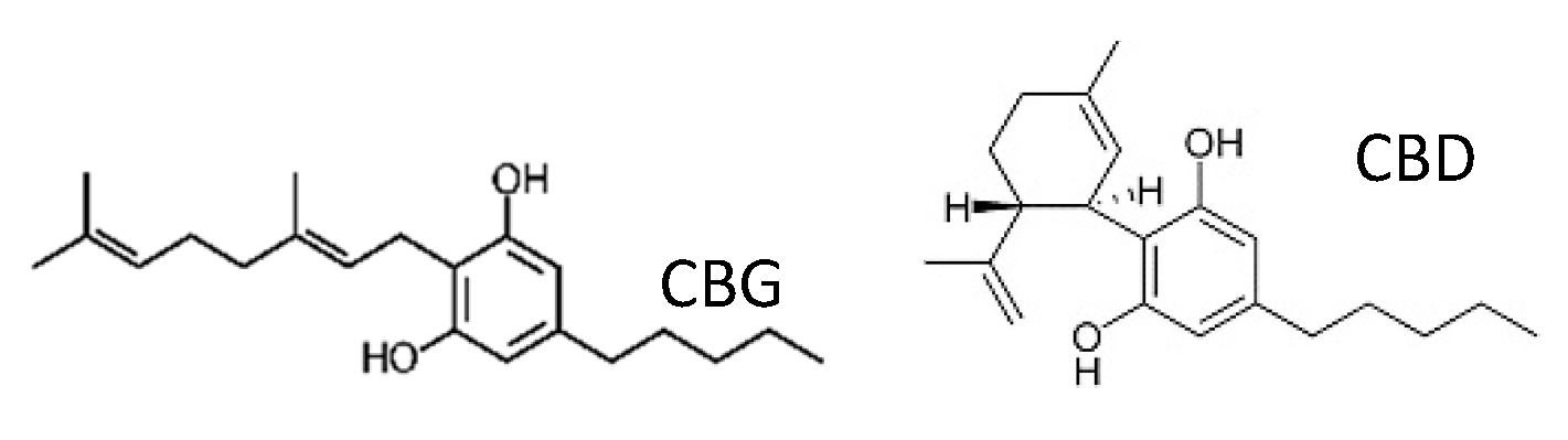 Microorganisms 09 00441 i001