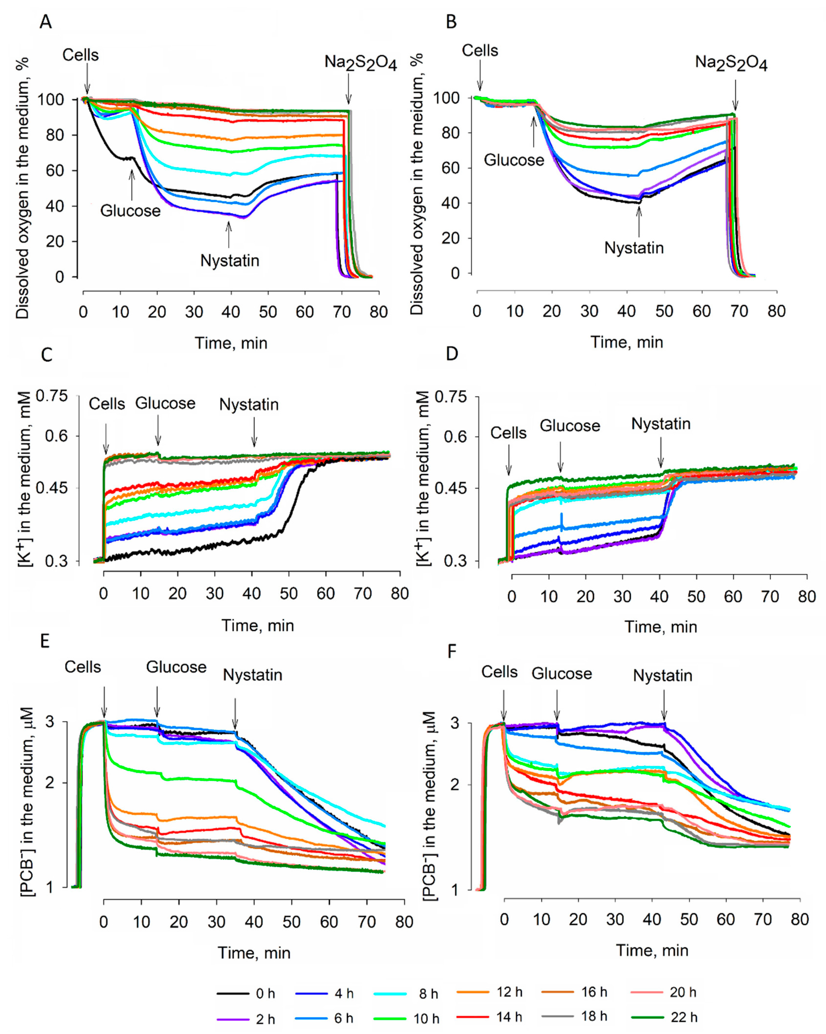 Microorganisms 09 00444 g001 Microorganisms 09 00444 g001