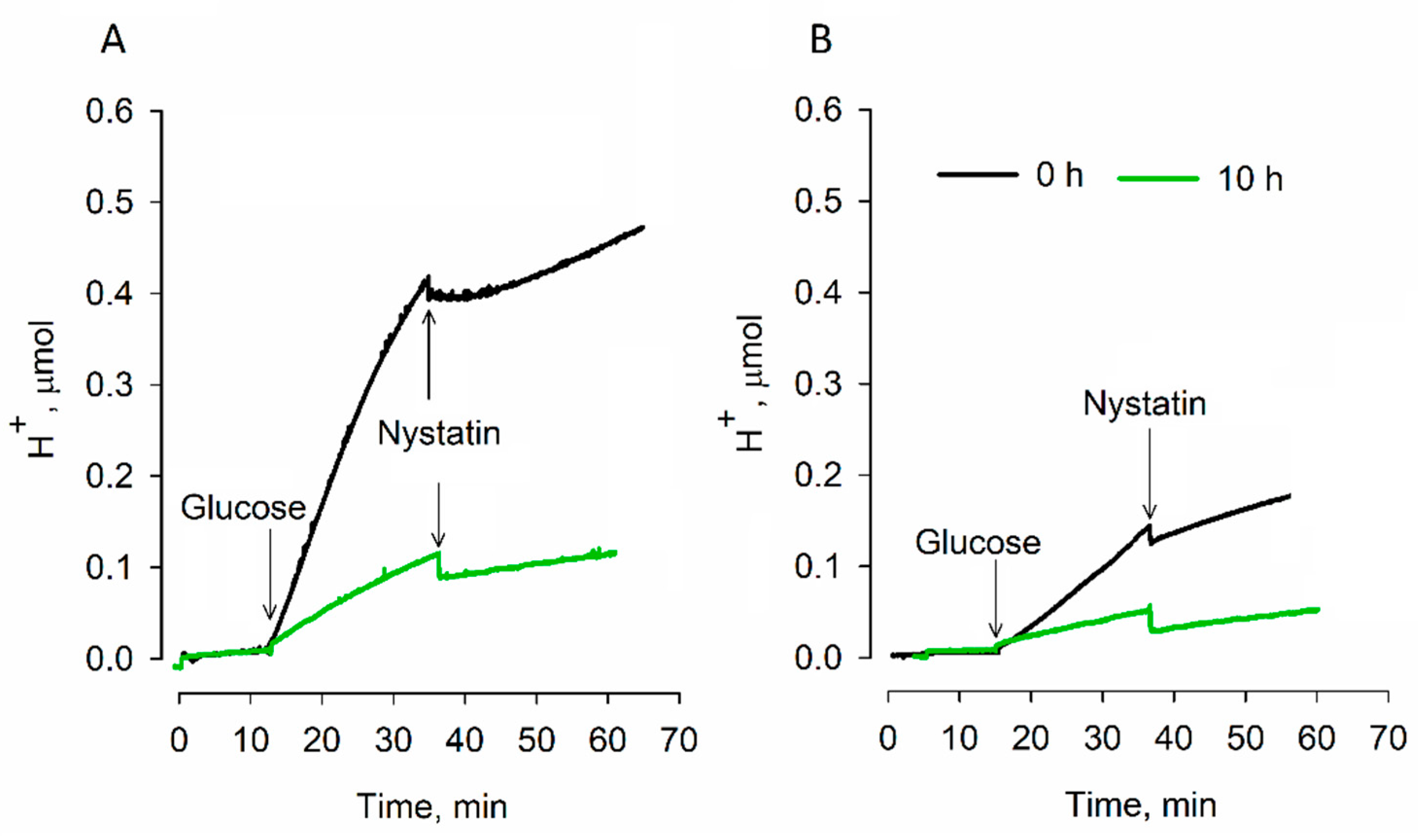Microorganisms 09 00444 g002 Microorganisms 09 00444 g002