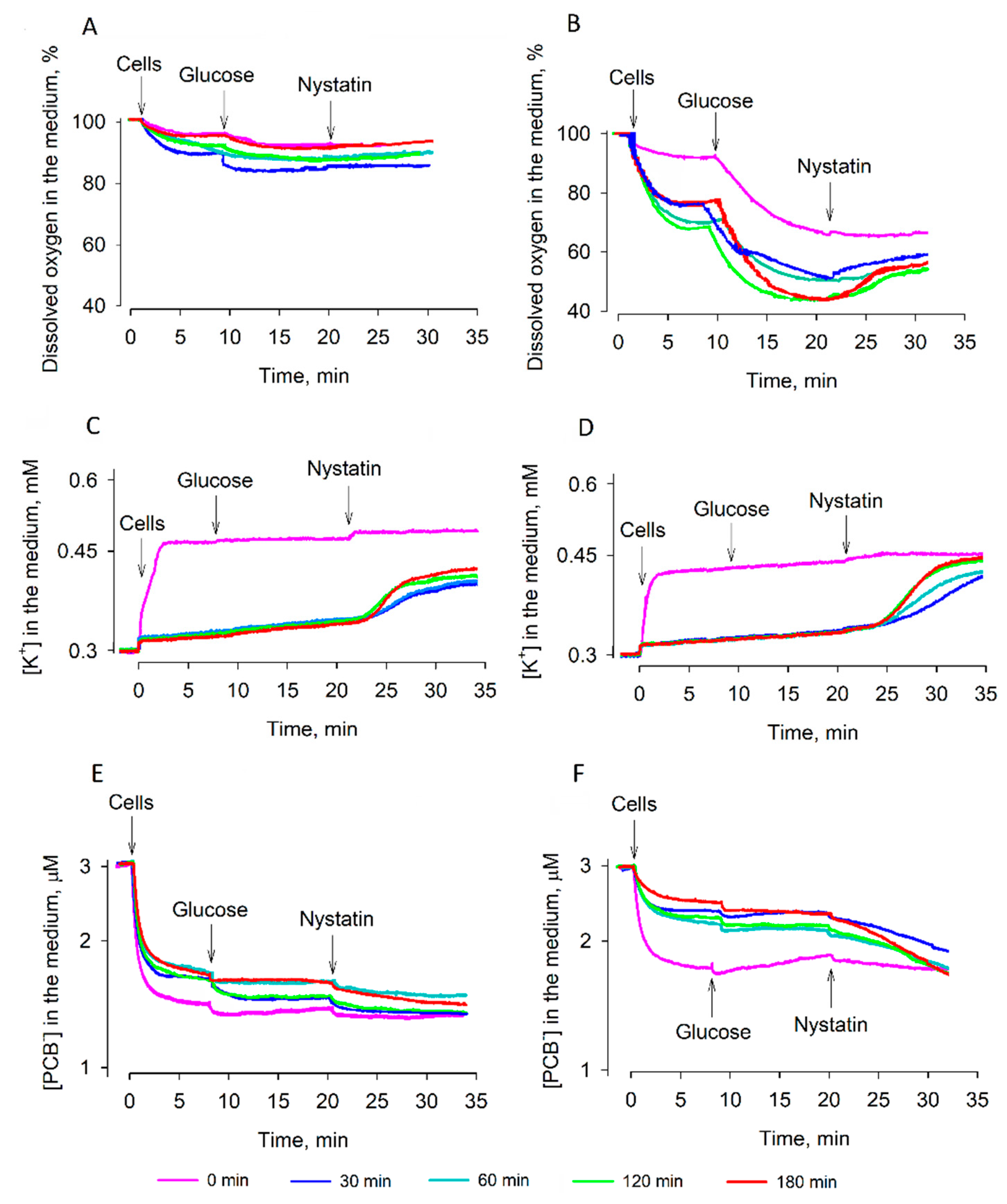 Microorganisms 09 00444 g004 Microorganisms 09 00444 g004