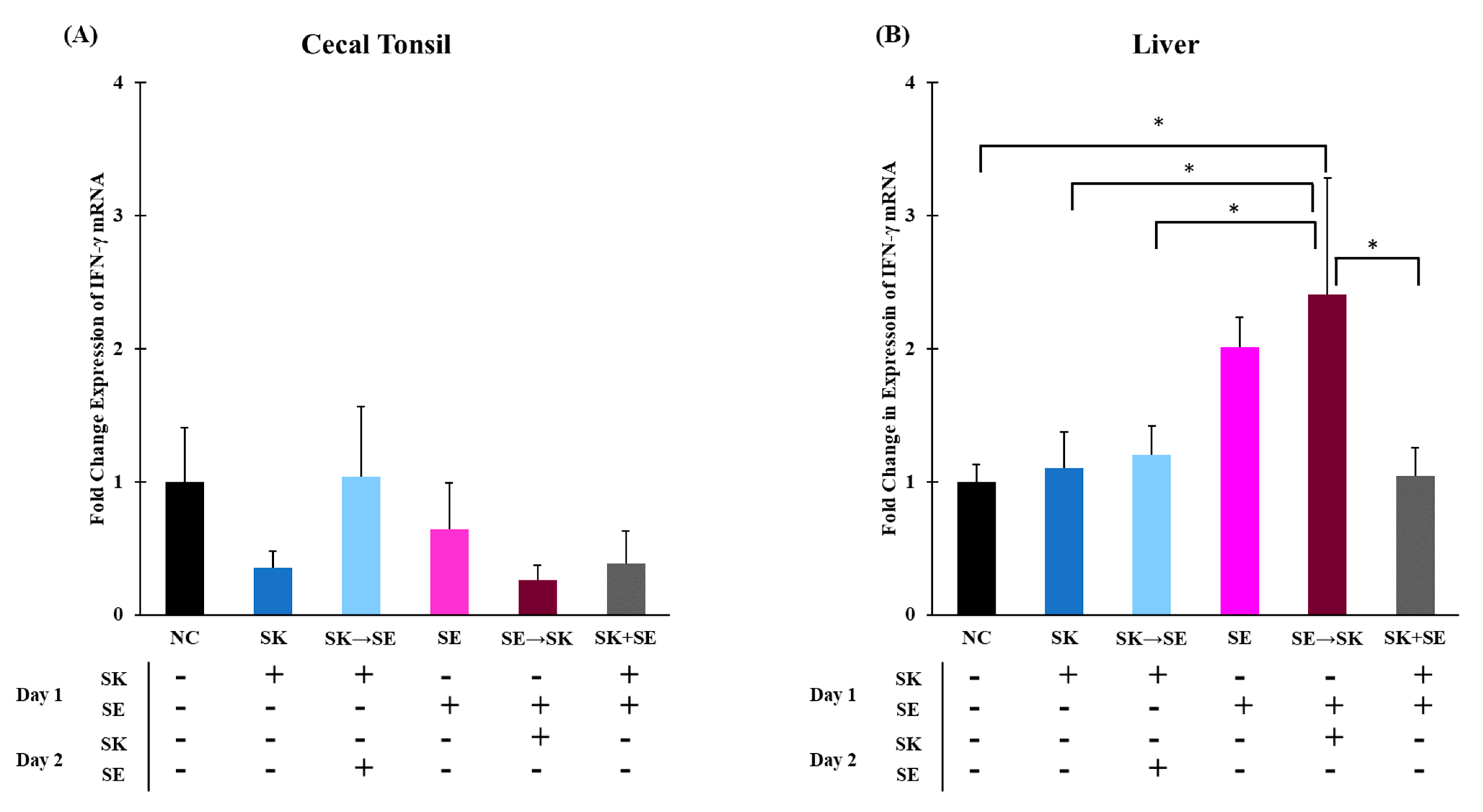 Microorganisms 09 00446 g010